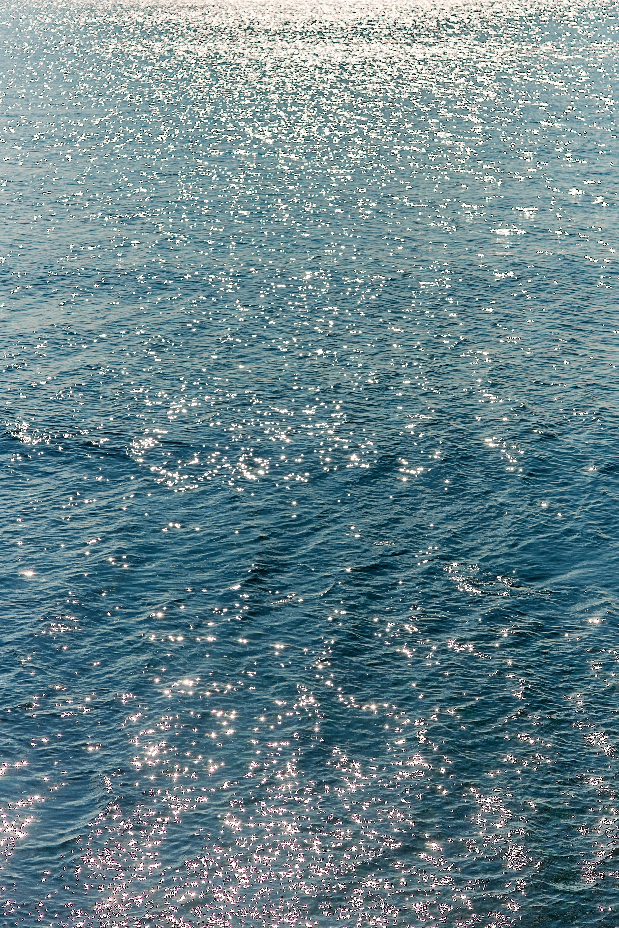 Юг России. Профессиональный Фотограф во Владимире, в Москве и в Суздале — Полина Романычева