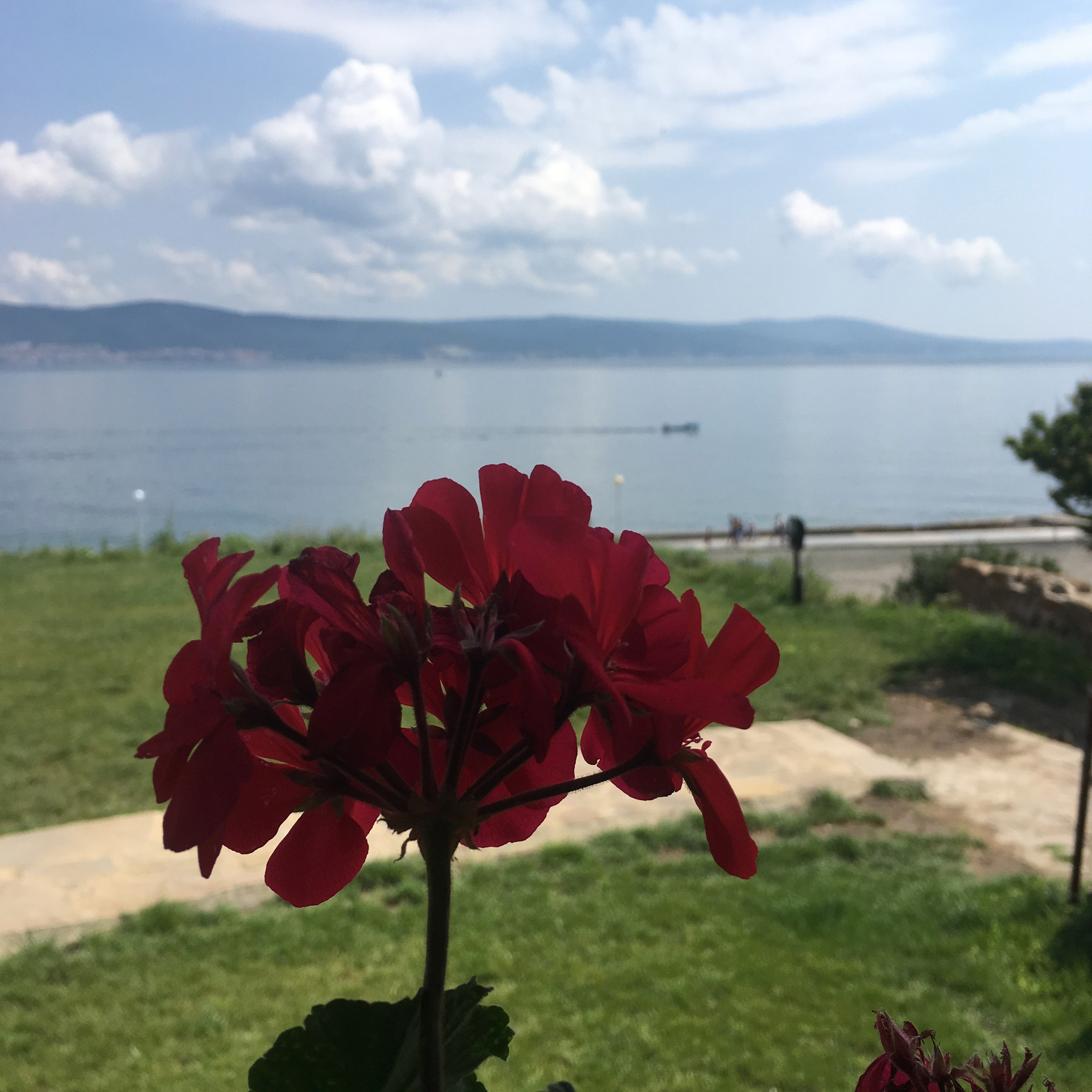 Болгария. Главная