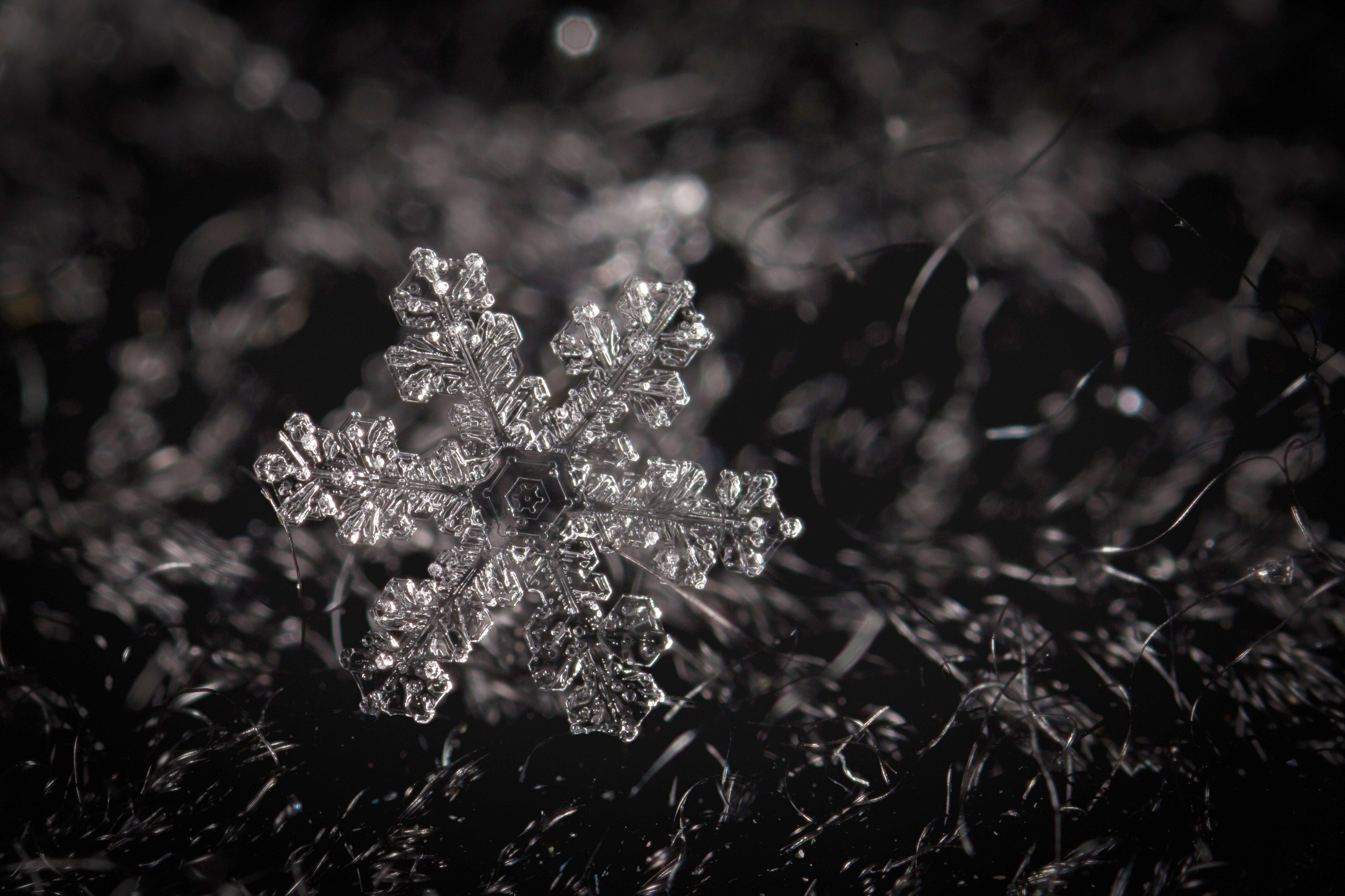 Автор: Олег Волков