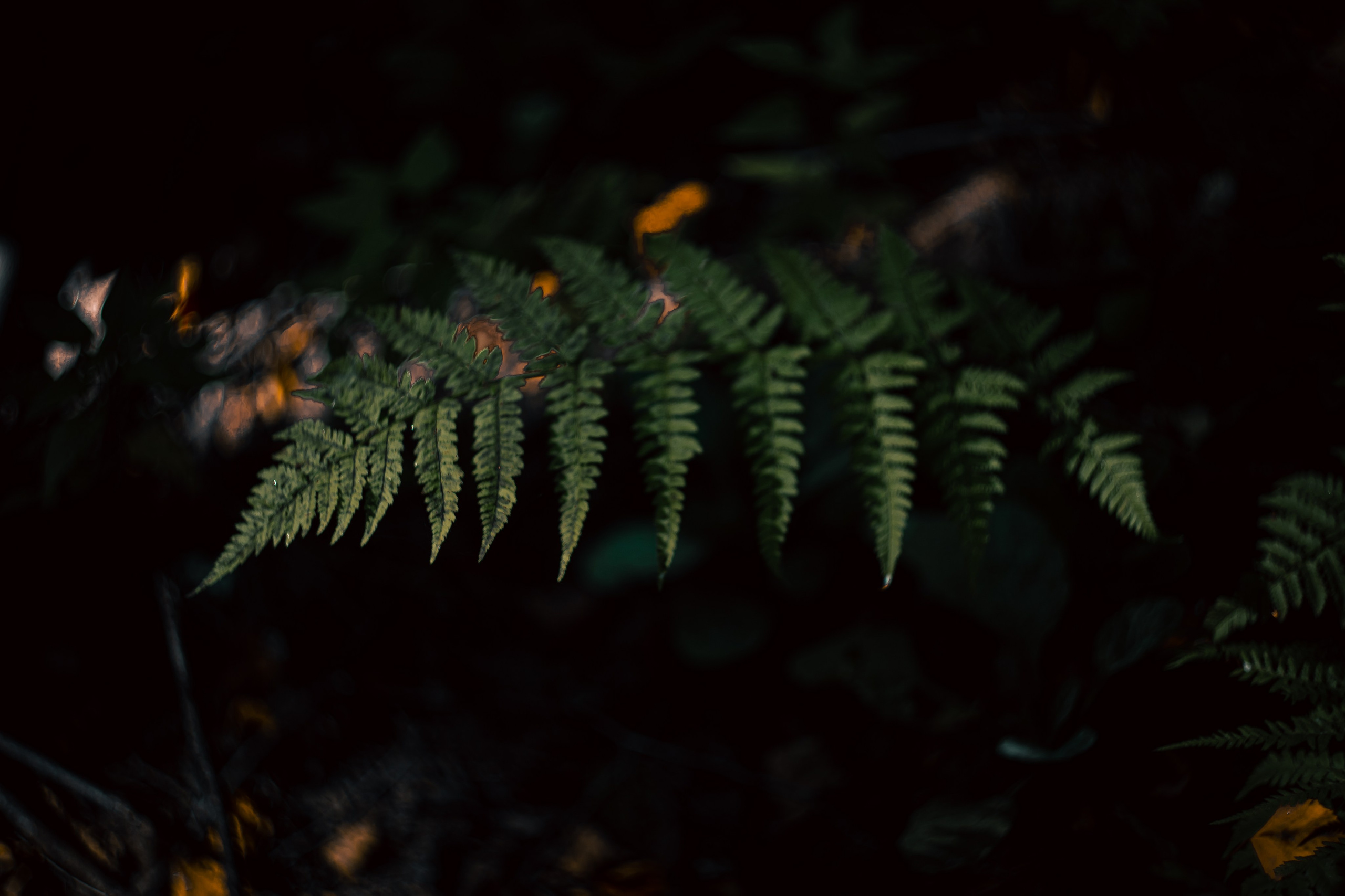 Сентябрь 2024. Efremovaphoto.ru