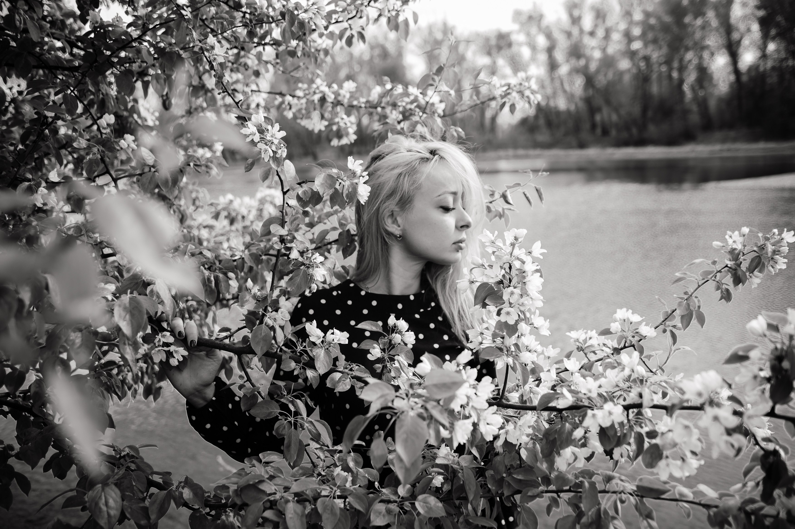 Яблони. Фотограф в Абакане Николай Окунев