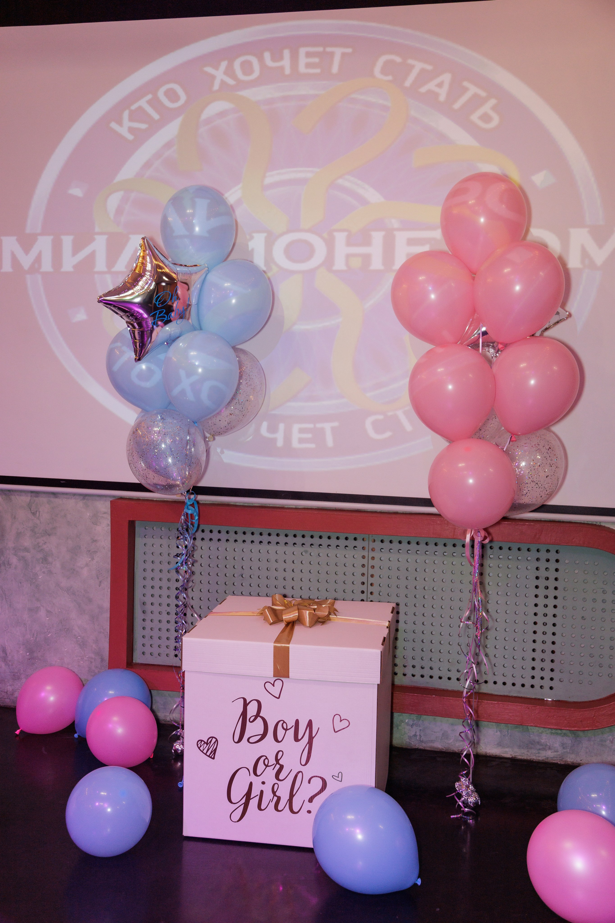 Гендер пати. Фотограф в Москве фотосессия