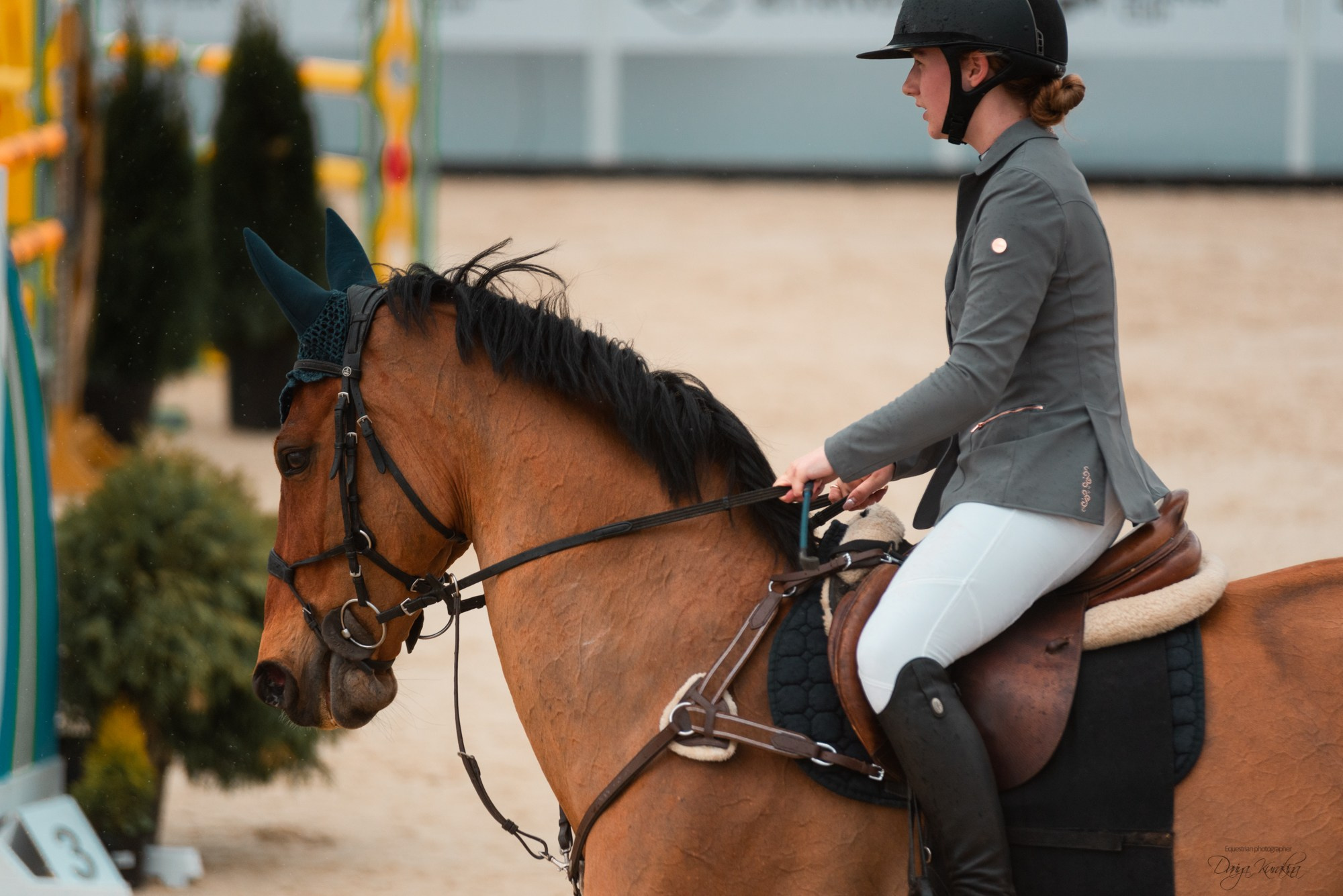 BITRIVER CUP 2023. Конный фотограф Куракина Дарья • Фотосессии с лошадьми