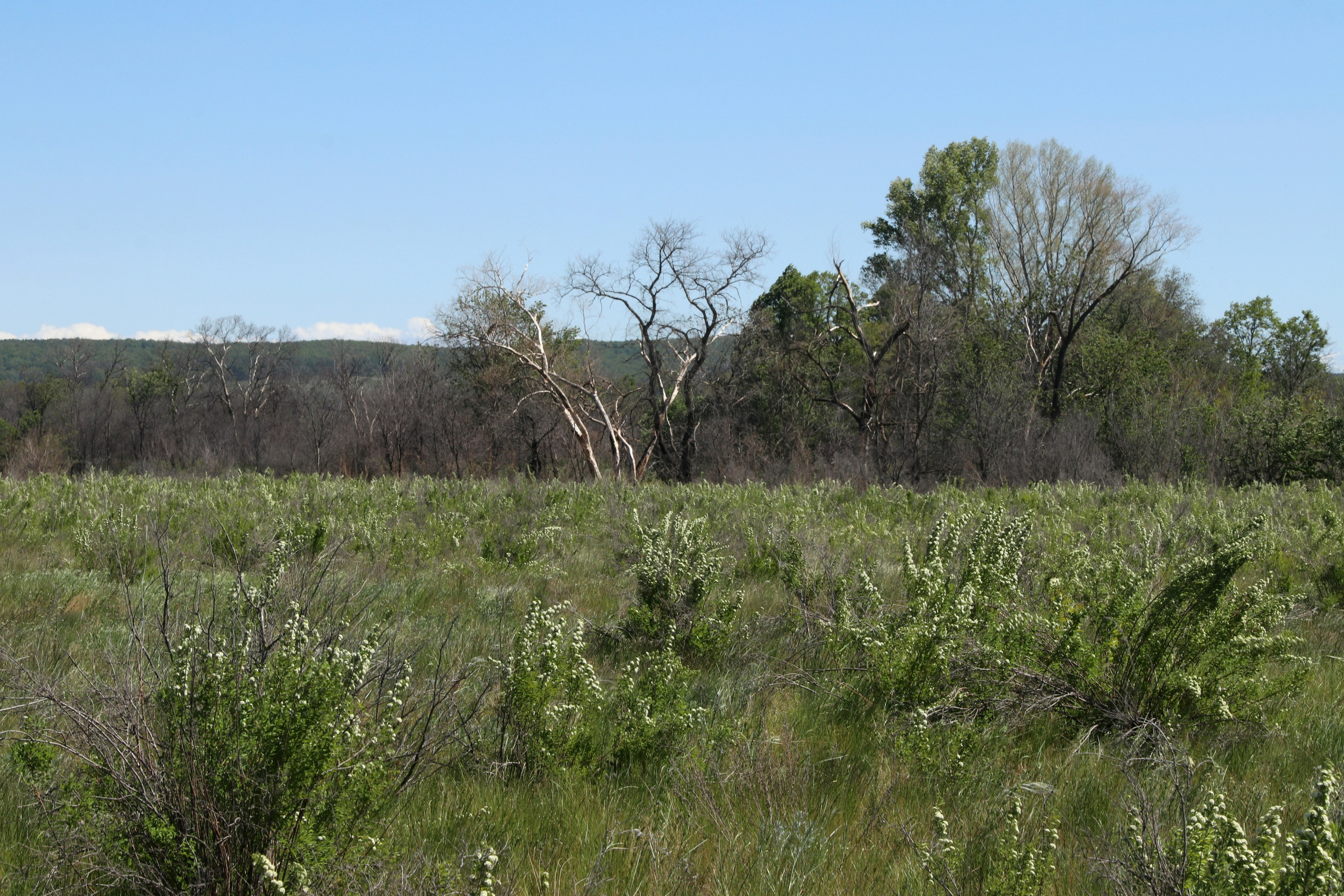Велопоход Уфа — Мелеуз. Май 2024. Путешественник-фотограф из Санкт-Петербурга Татьяна Свистулина