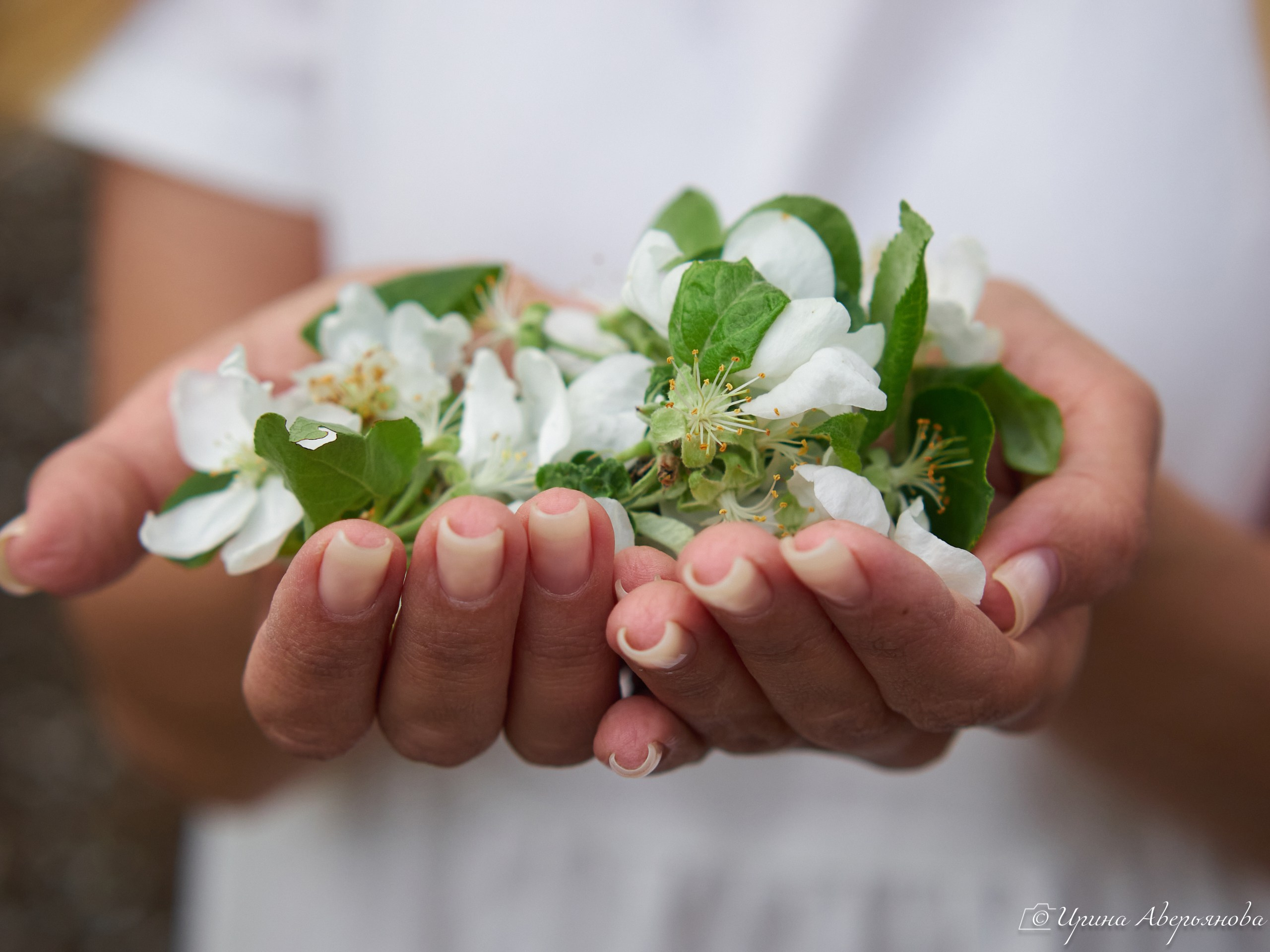 Фотограф в Ульяновске Ирина Аверьянова