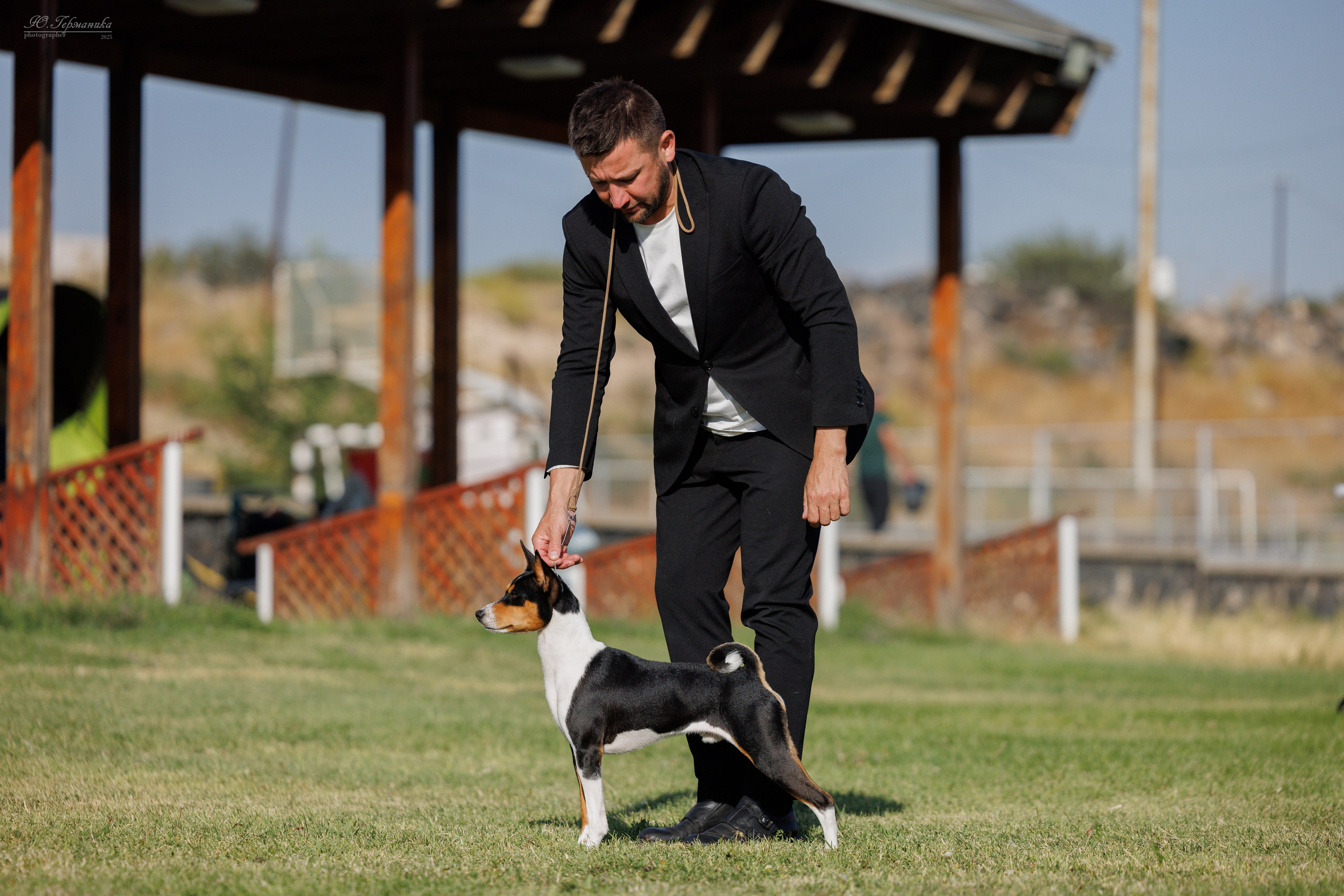 Ереван 3хCACIB 23-25.06.2025. Фотограф-анималист Юлия Германика