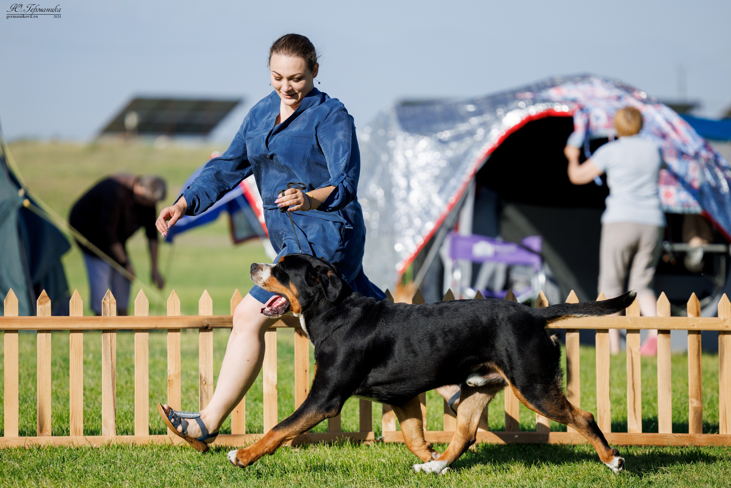 Ереван 3-5.06.2024. Фотограф-анималист Юлия Германика