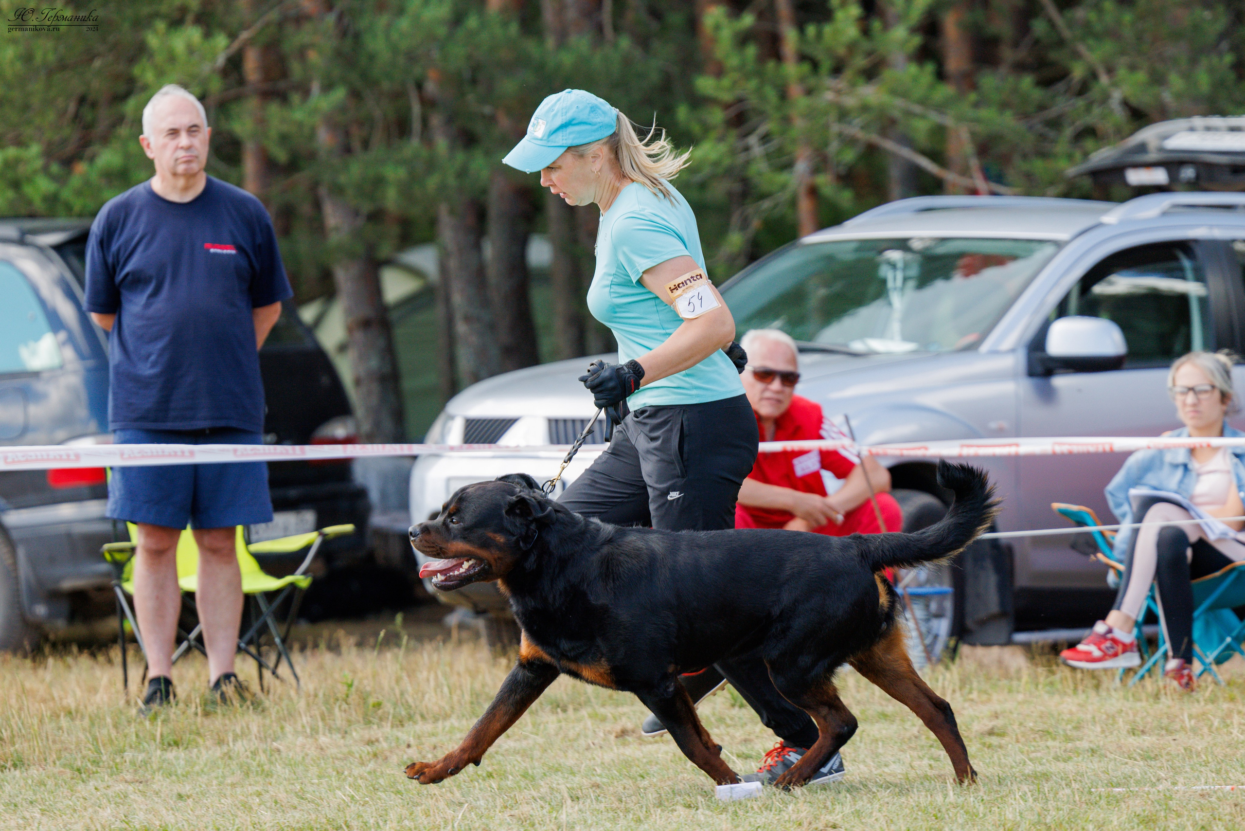 ПК и КЧК ротвейлеры Тверь 6-7.07.2024. Фотограф-анималист Юлия Германика