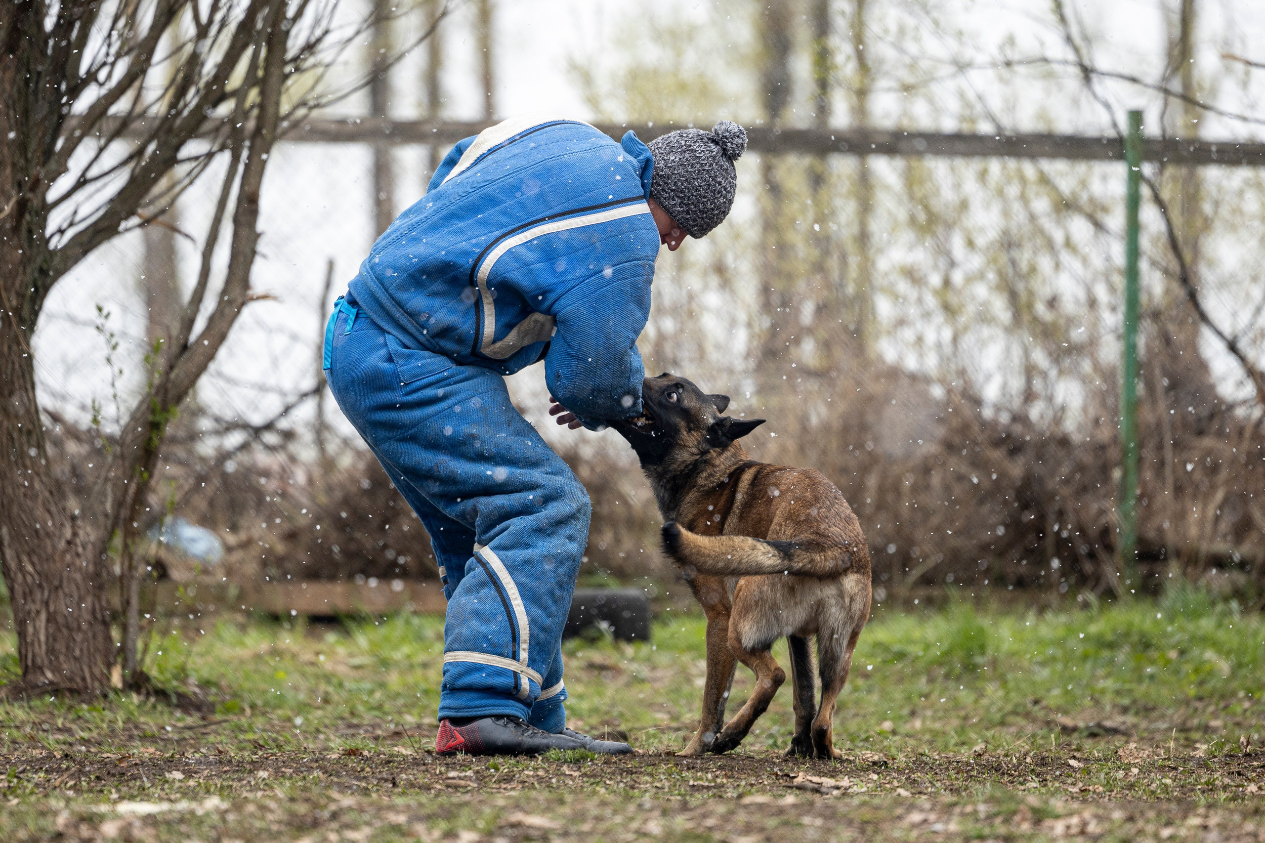 Квалификационные состязания по мондьорингу г. Вологда 11.05.24. Фотограф-анималист Анна Маринич