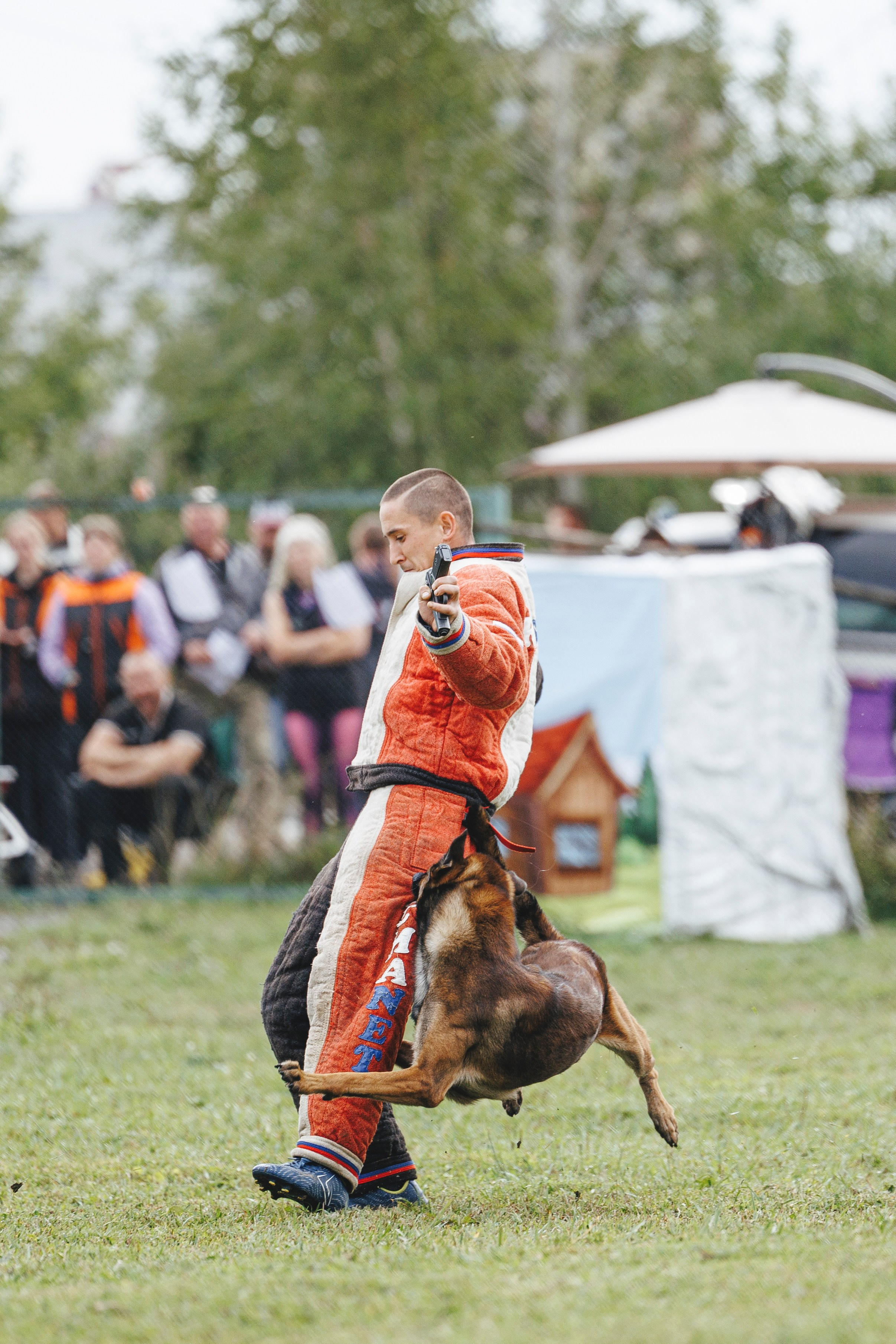 08.08.25-10.08.25 ЧР по мондьорингу г. Вологда. Фотограф-анималист Анна Маринич