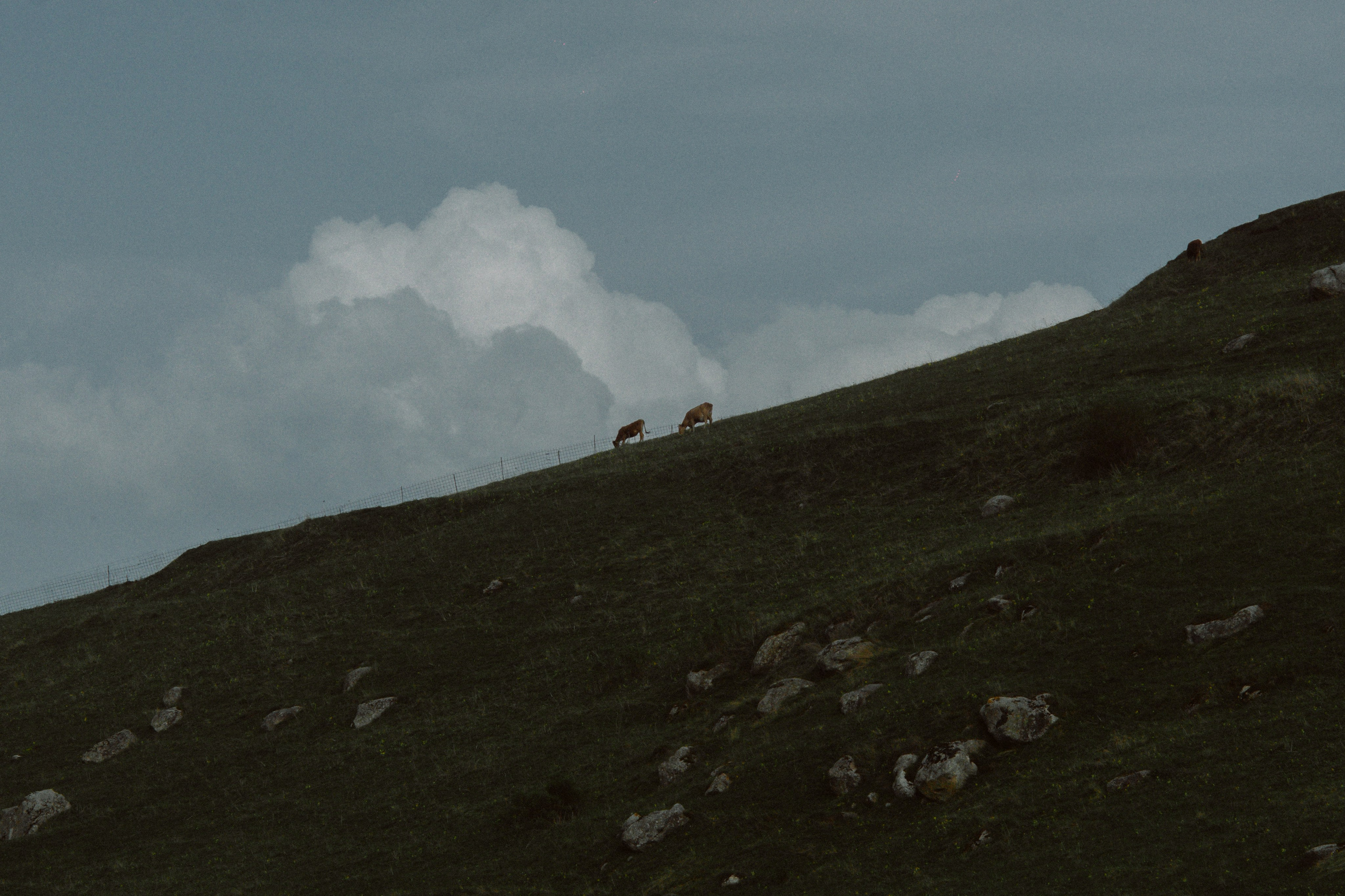 EXHIBITION. Репортажный и интерьерный фотограф, фотохудожник