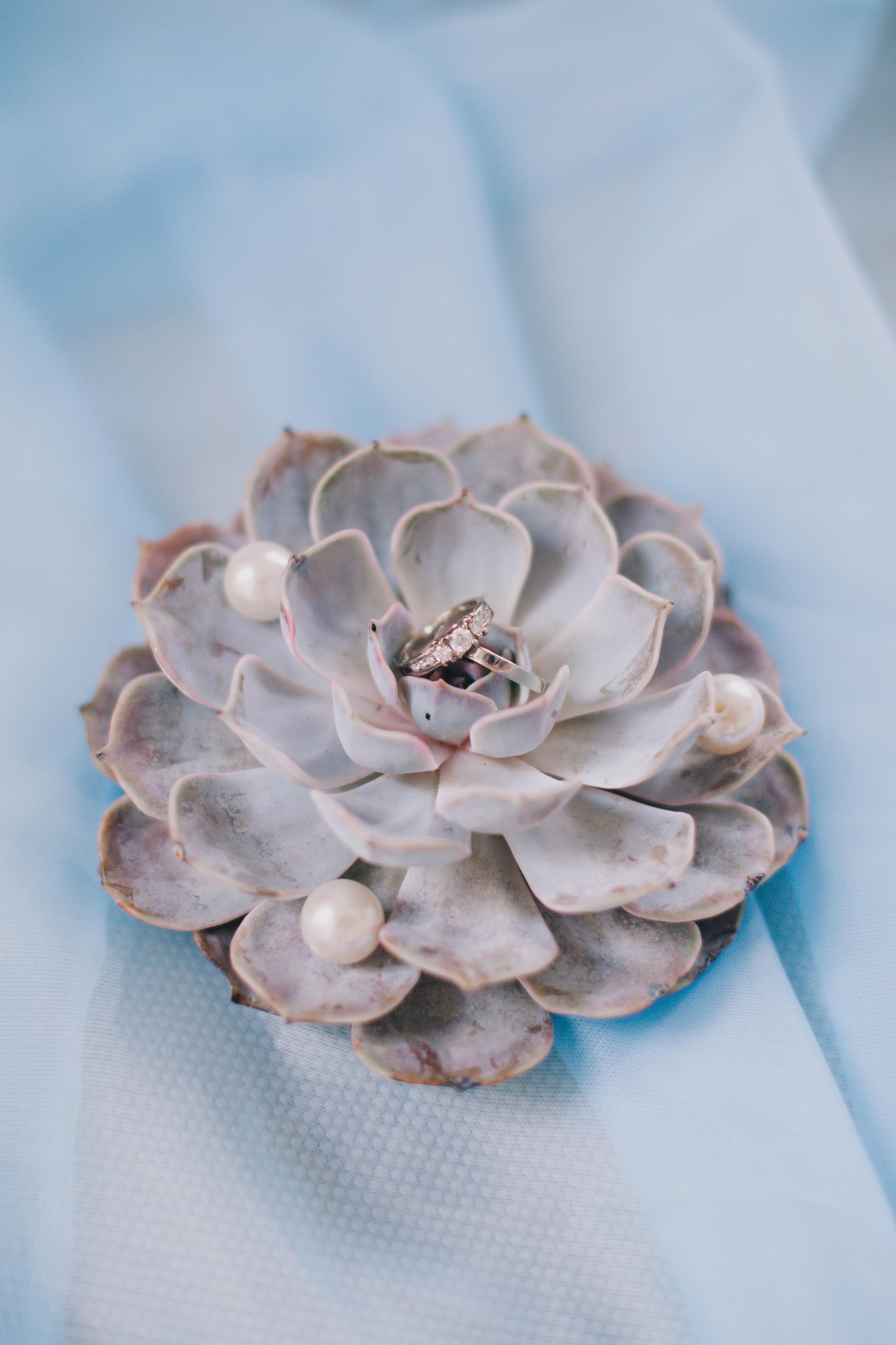 Свадебные фотографии. Фотограф Яна Артемьева