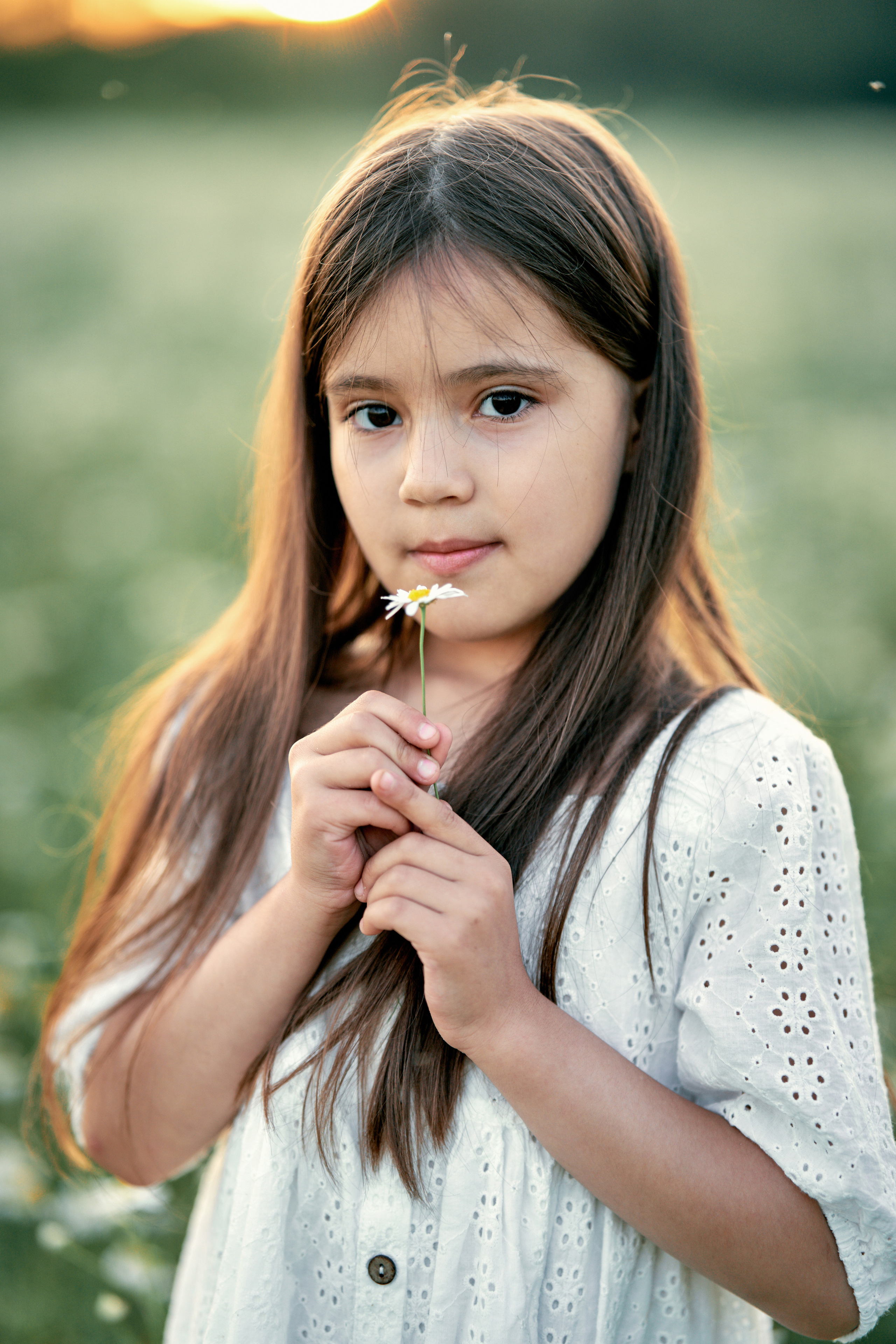 Ромашки. Фотограф в Москве Алина Алексеева