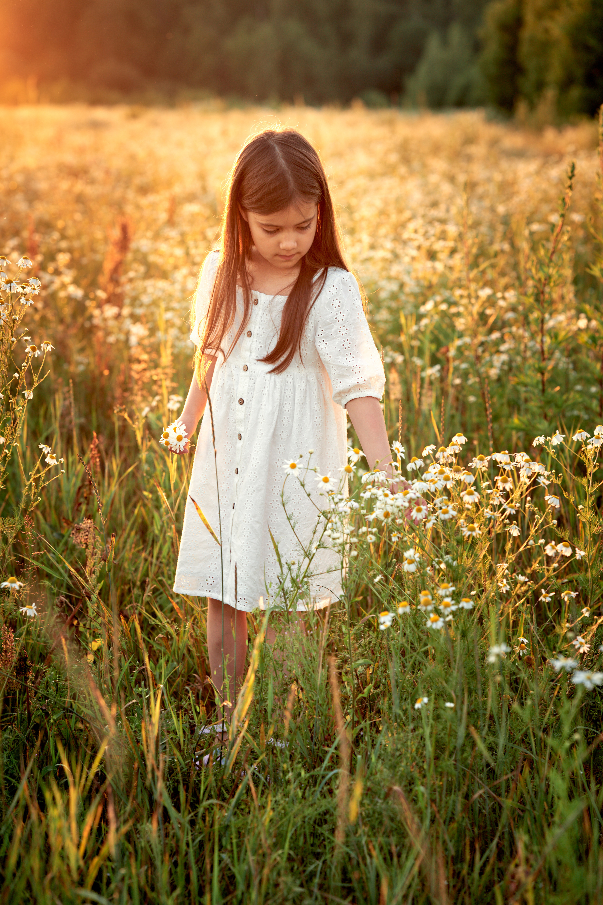 Фотосессия в поле с ромашками