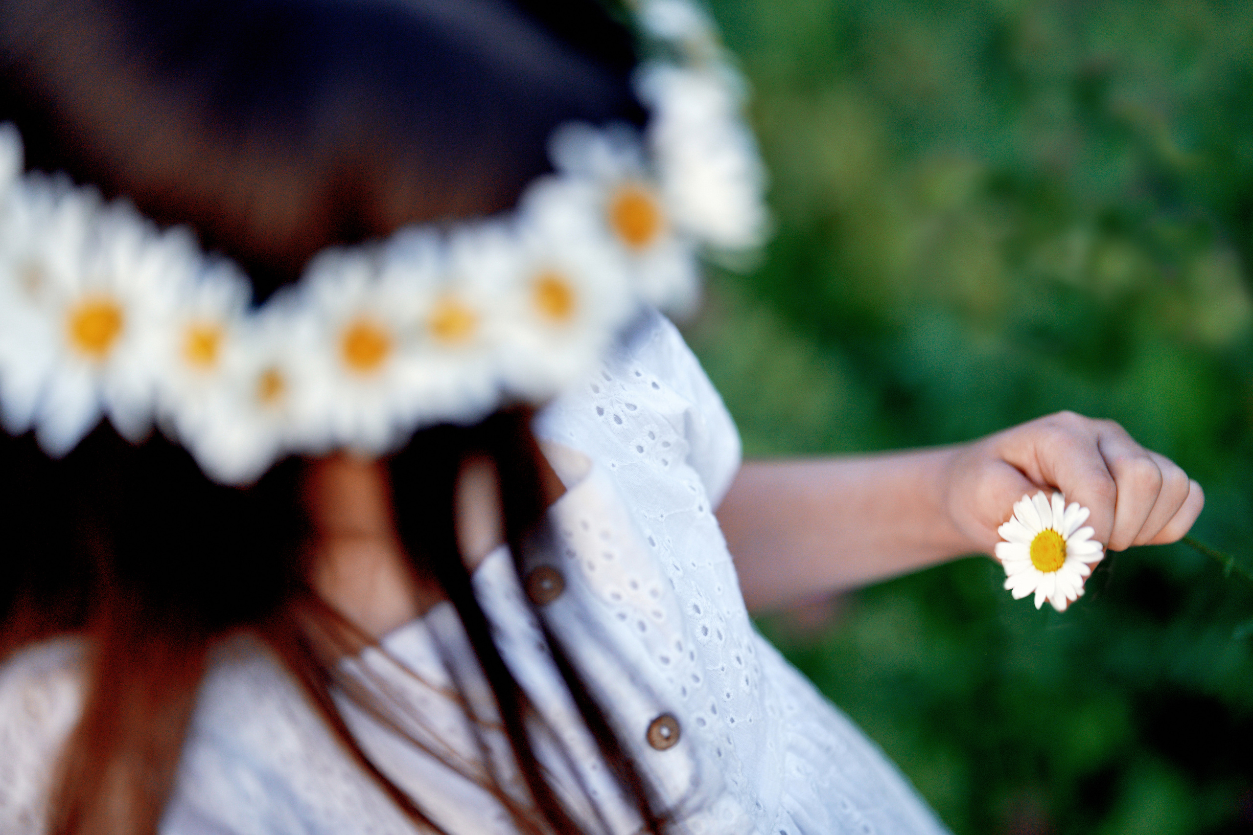 Ромашки. Фотограф в Москве Алина Алексеева