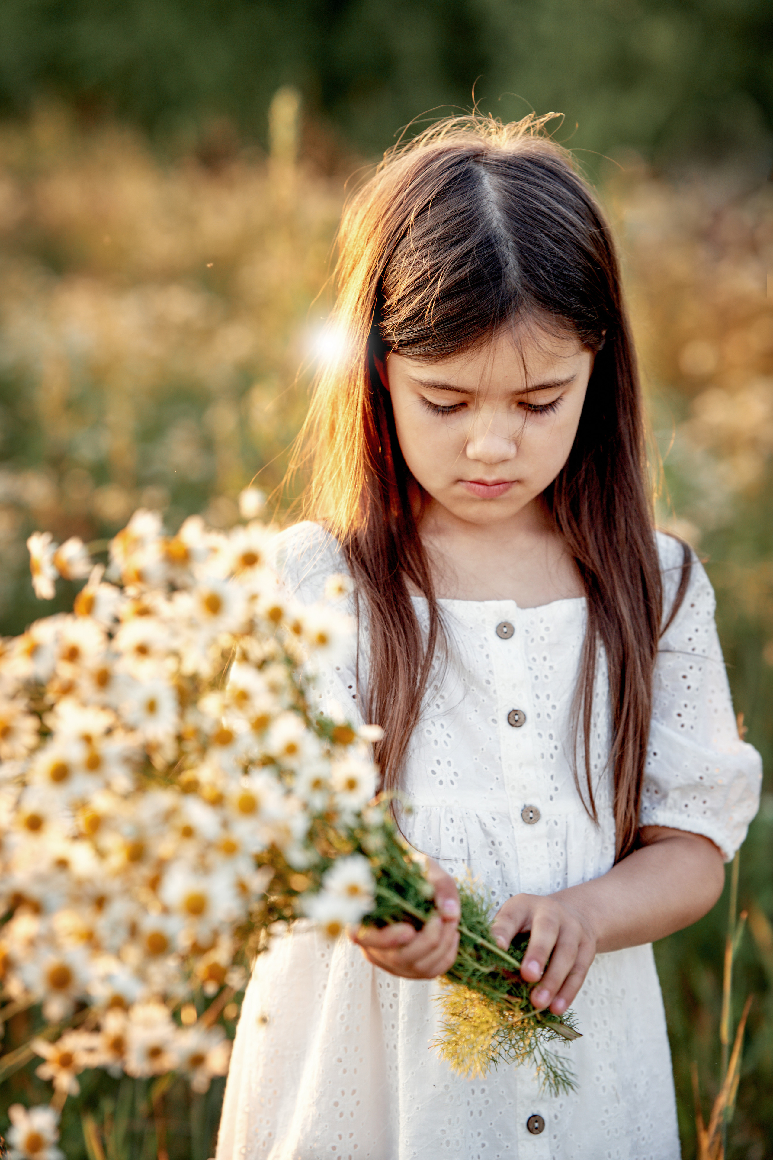 Ромашки. Фотограф в Москве Алина Алексеева