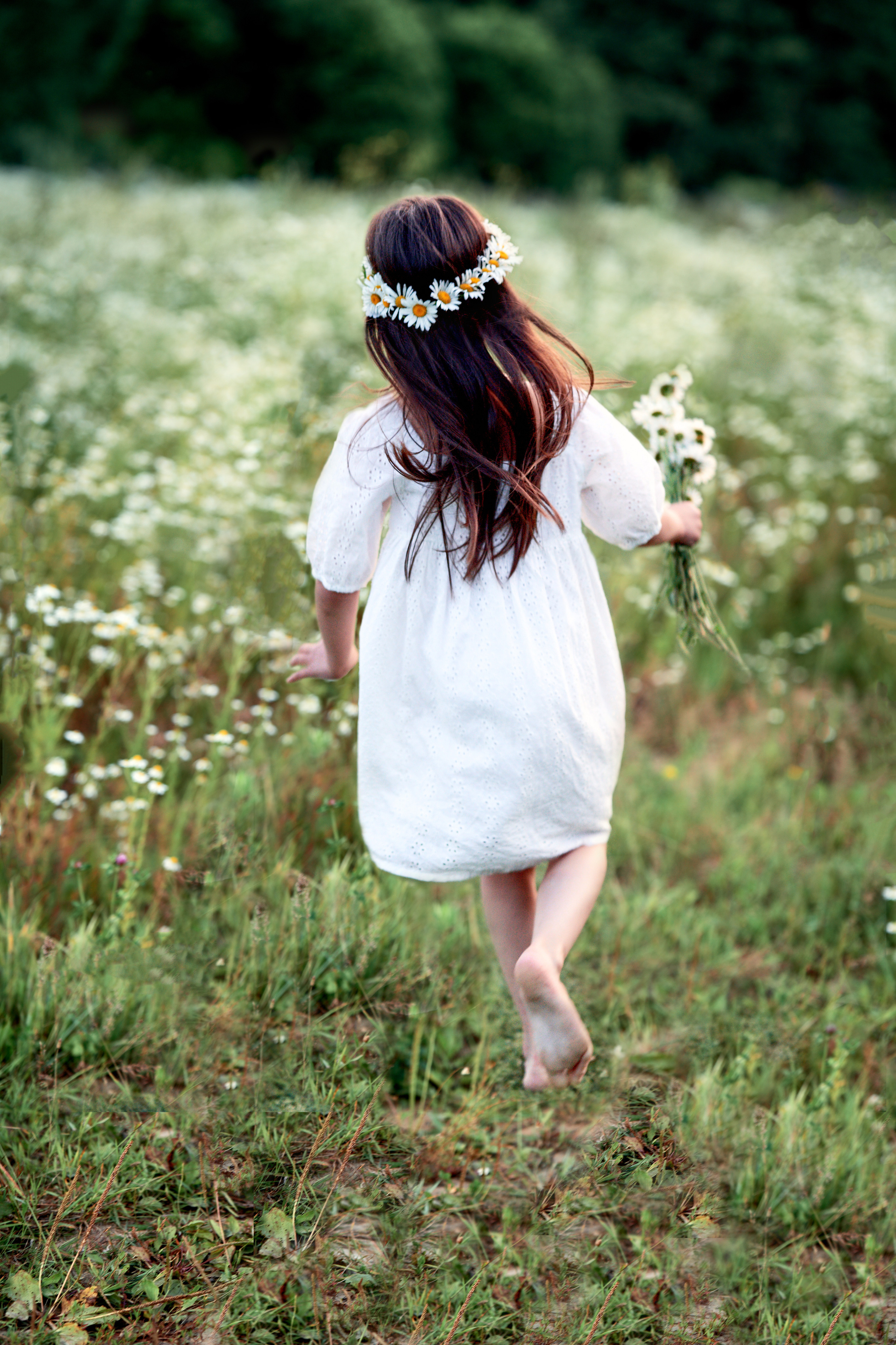 Ромашки. Фотограф в Москве Алина Алексеева