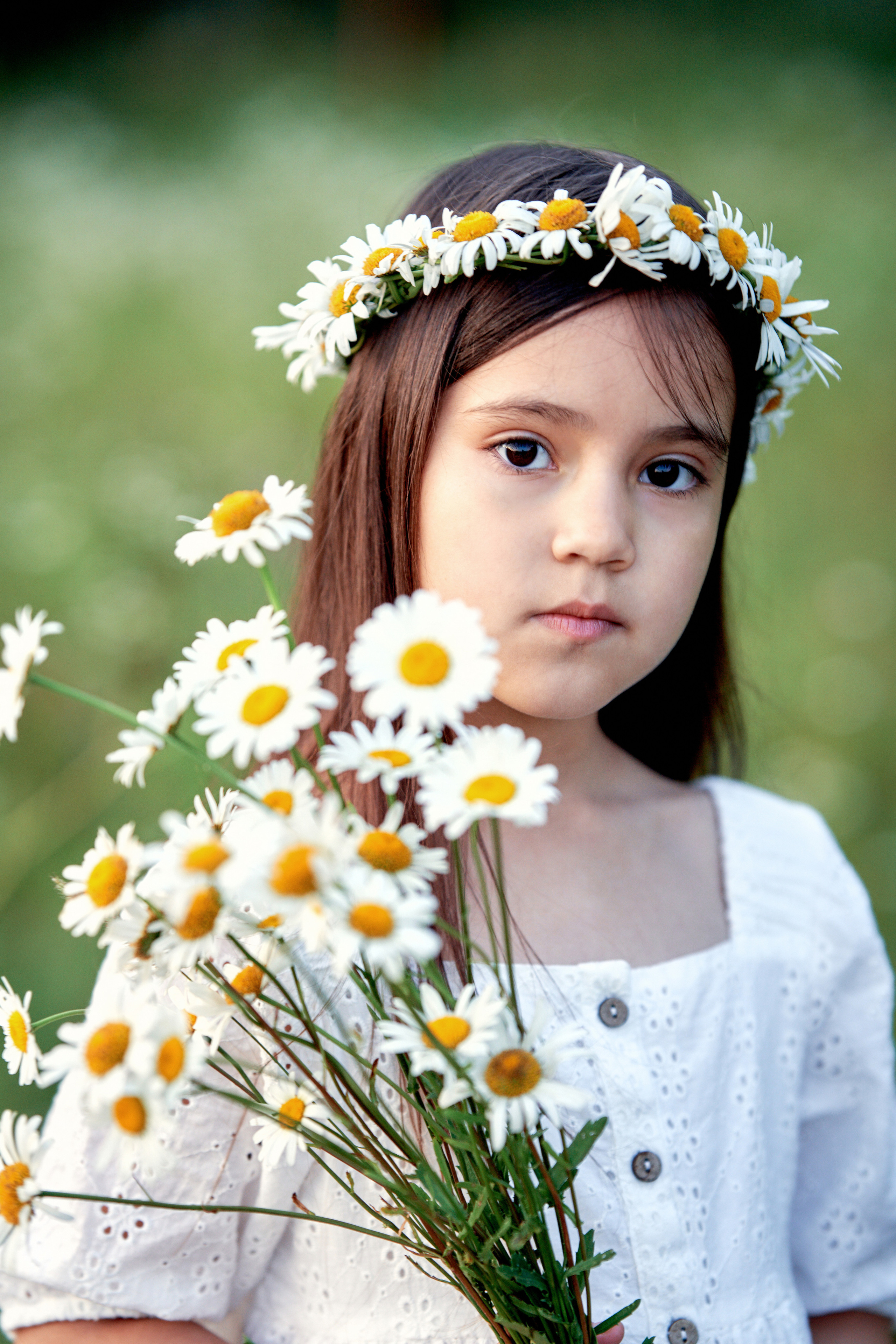 Ромашки. Фотограф в Москве Алина Алексеева
