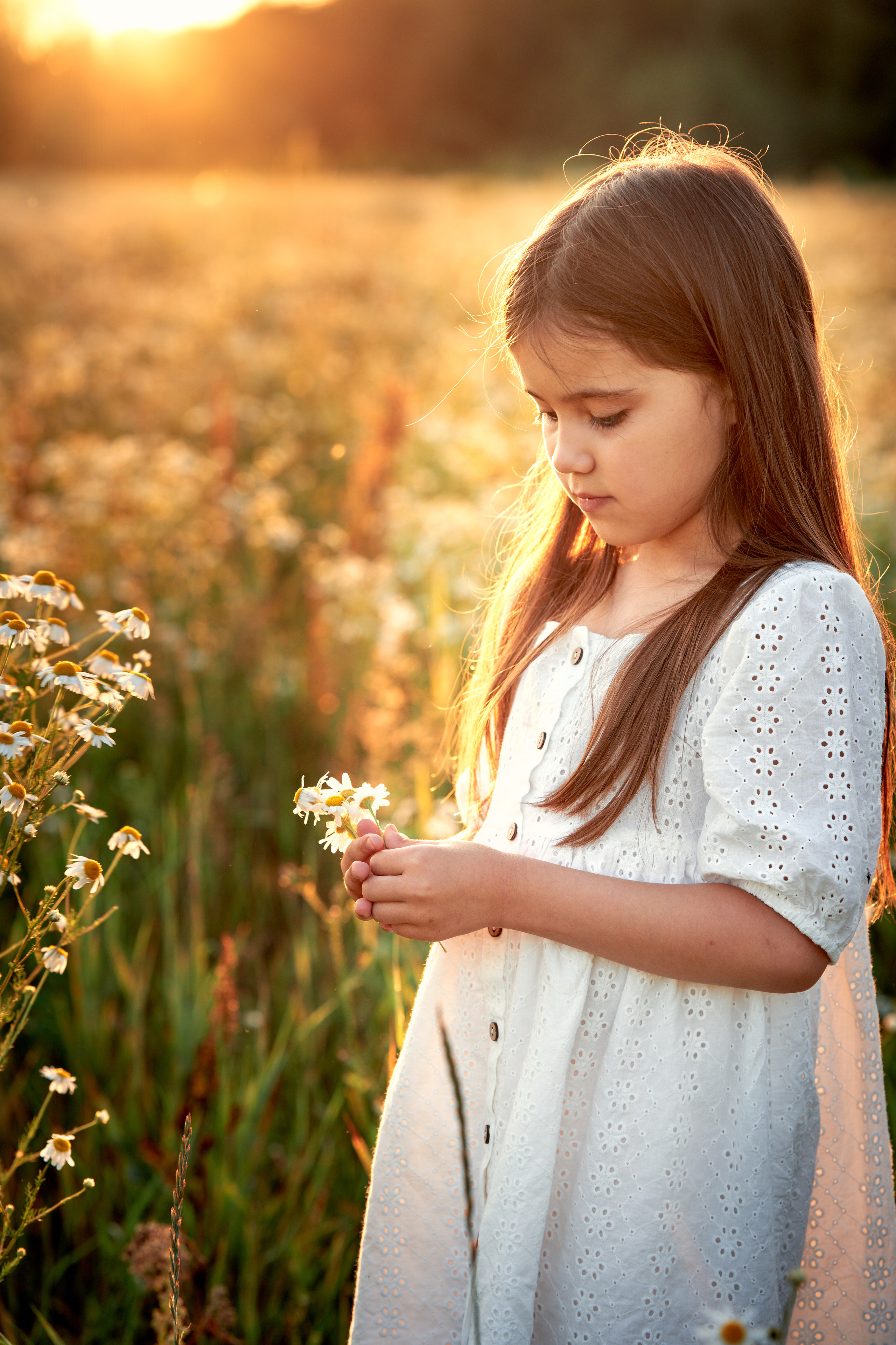 Фотосъёмка в ромашках на закате 