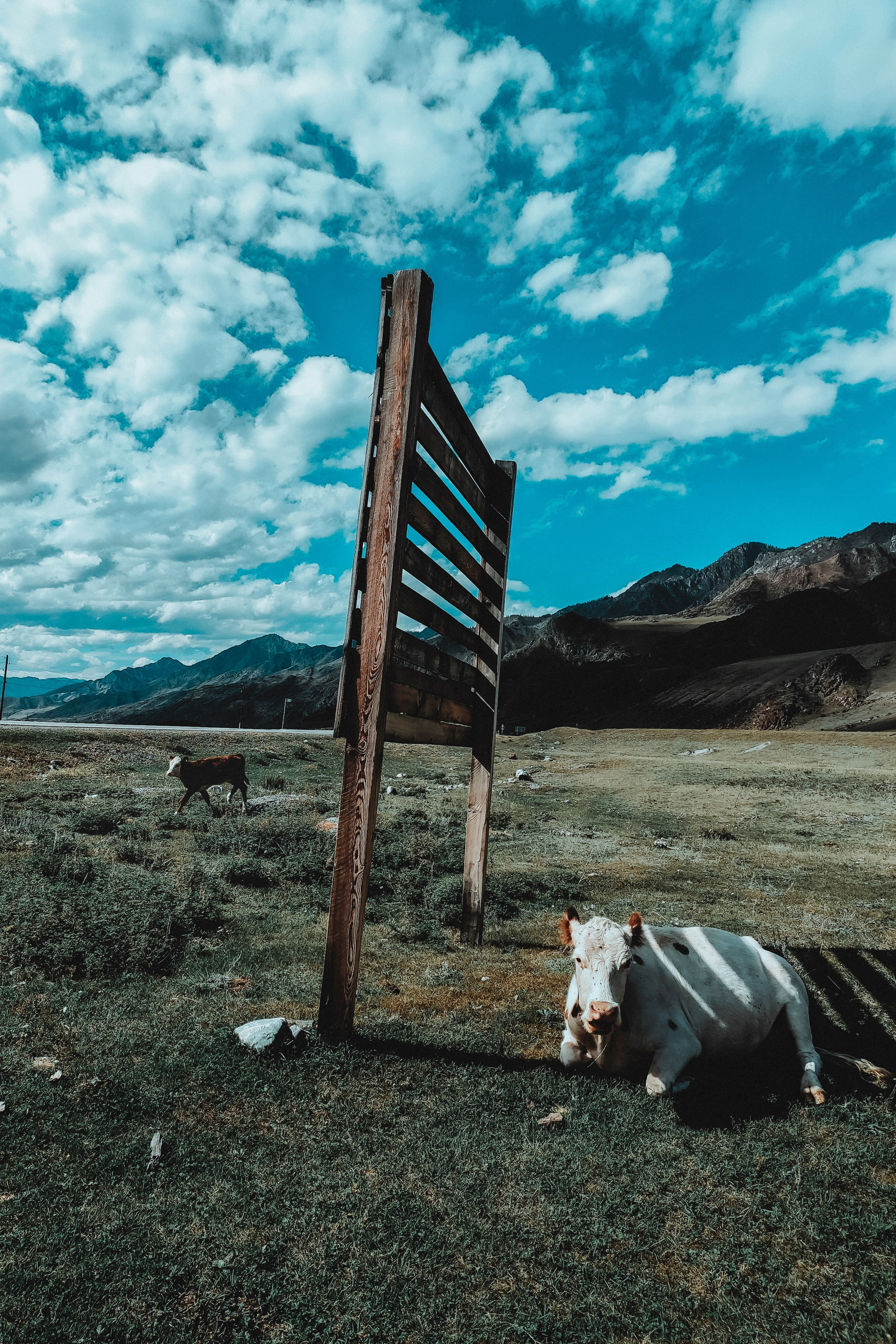 Алтай (мобилография). Фотограф в Москве, в Самаре Инна Мамонова