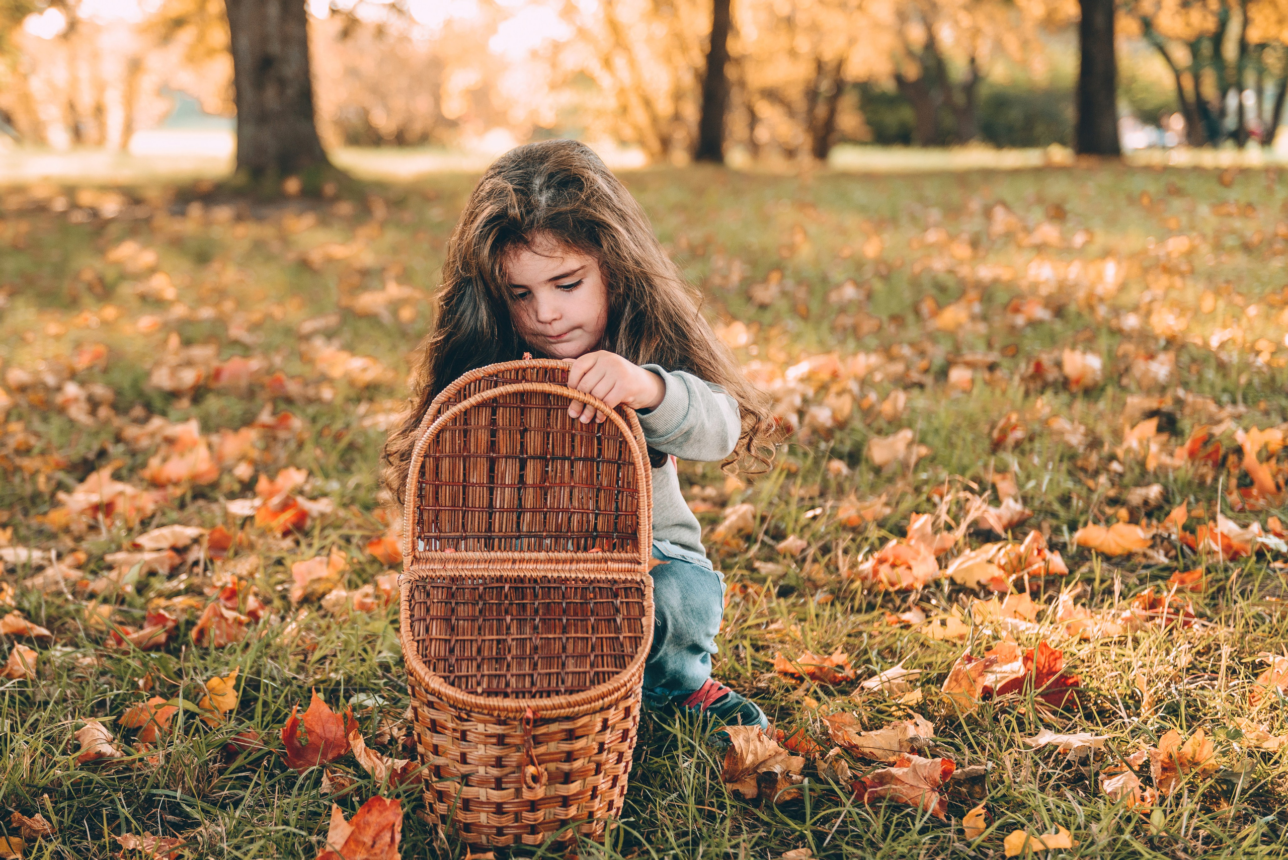 Золотая осень, парки, любовь. Свадебный и семейный фотограф София Невская