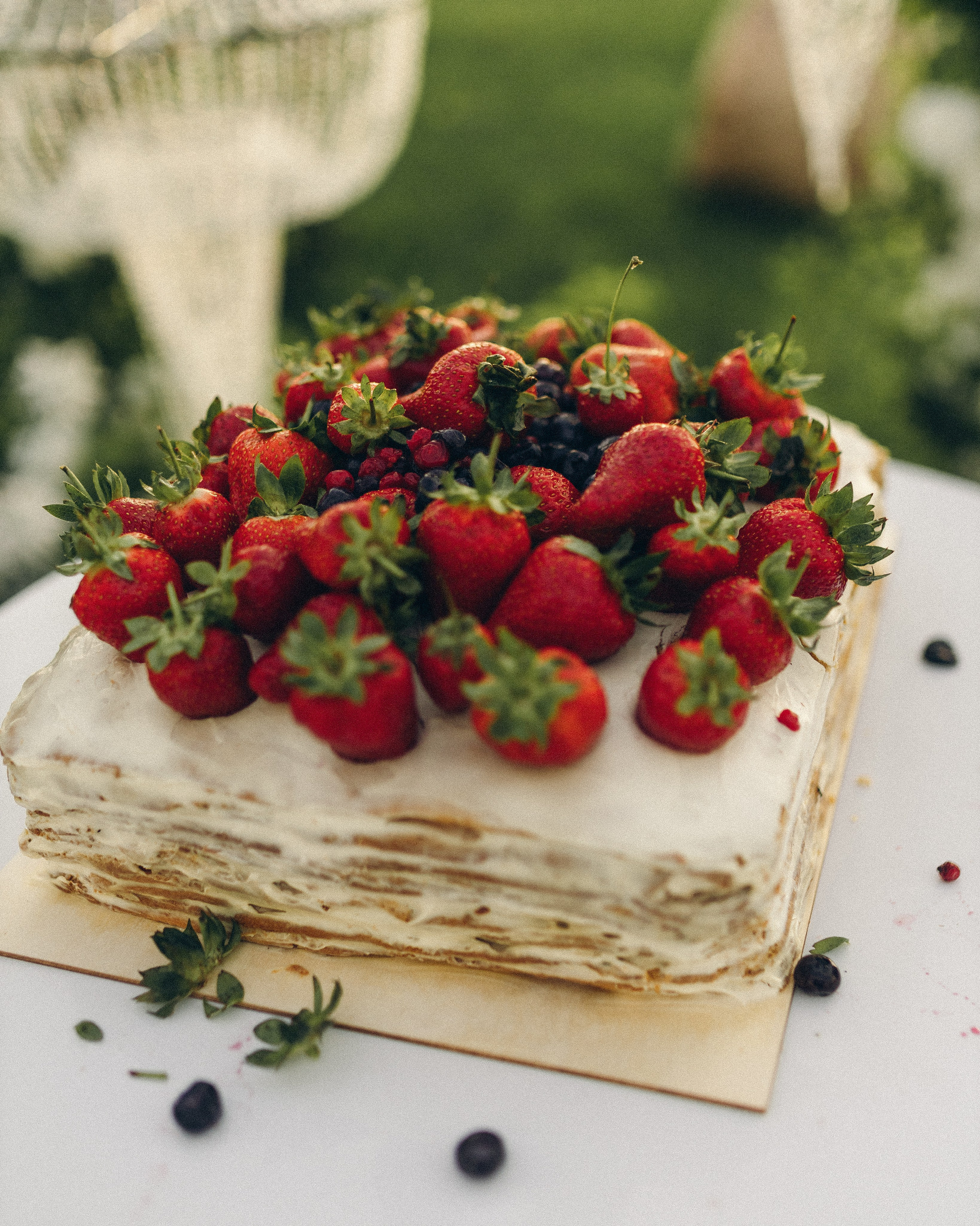 Vinity Forest. Фотограф Анастасия Платонова | Санкт-Петербург