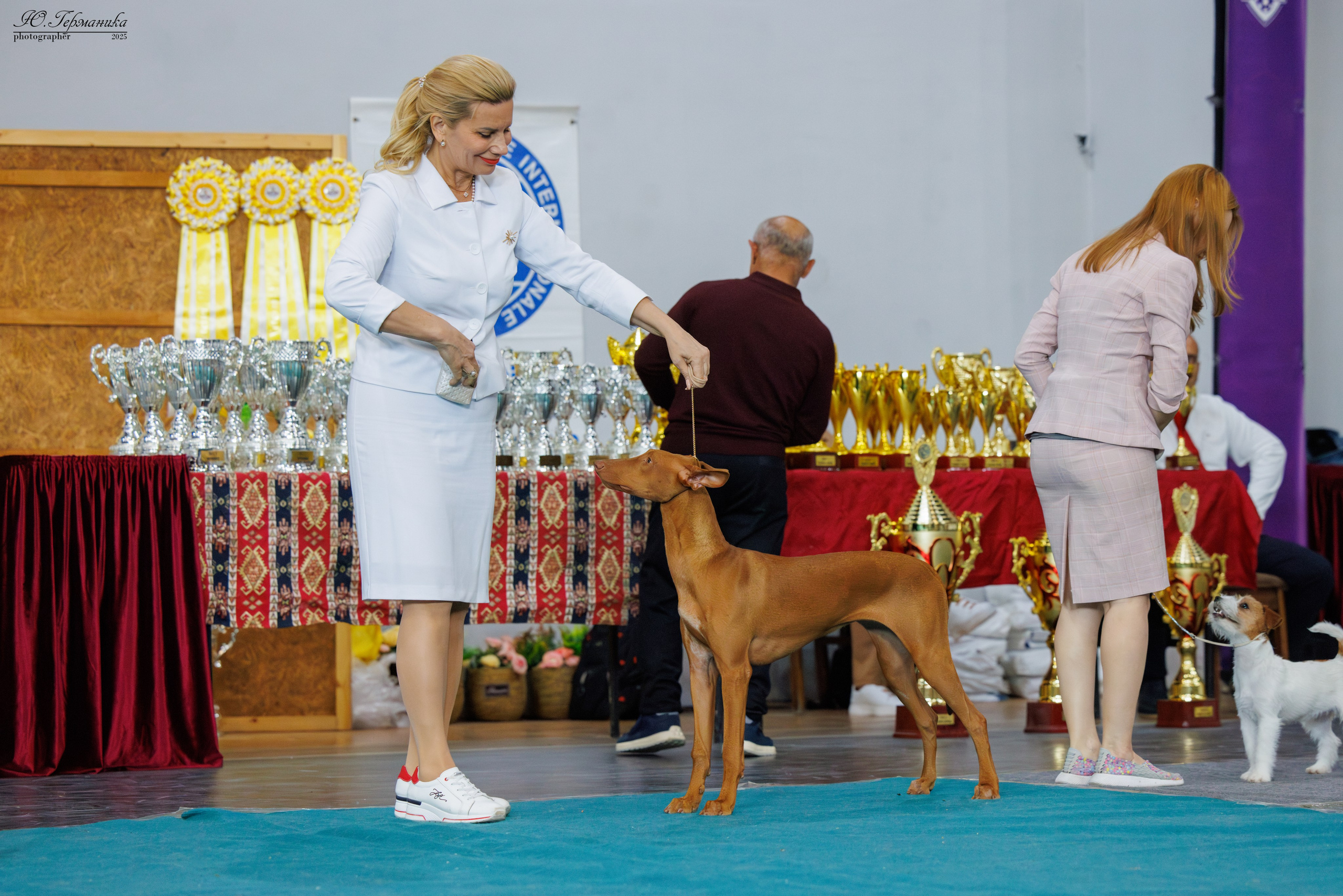 Ереван 2х CACIB 29-30.04.2025. Фотограф-анималист Юлия Германика