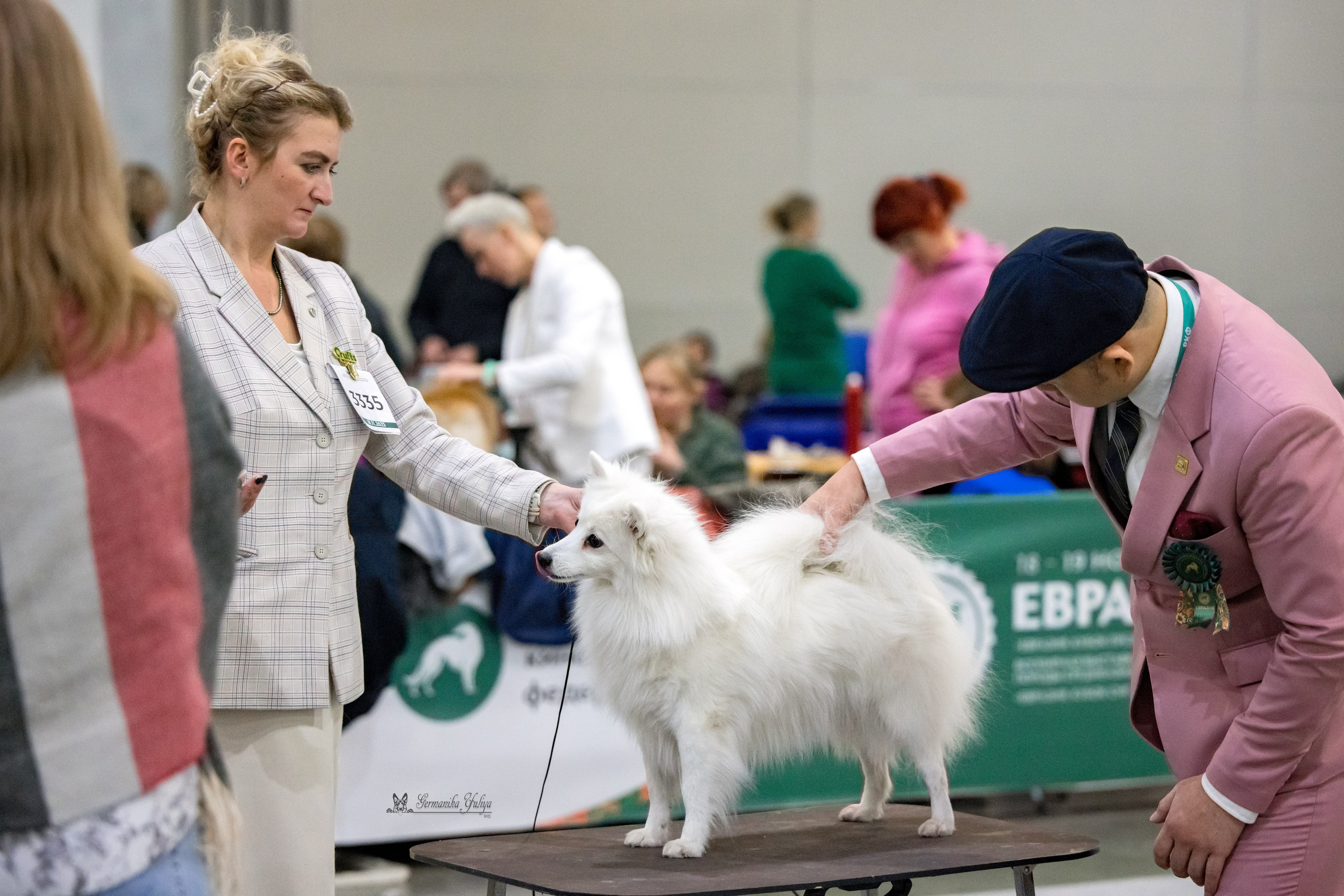 ЕВРАЗИЯ 18-19.11.2023. Фотограф-анималист Юлия Германика