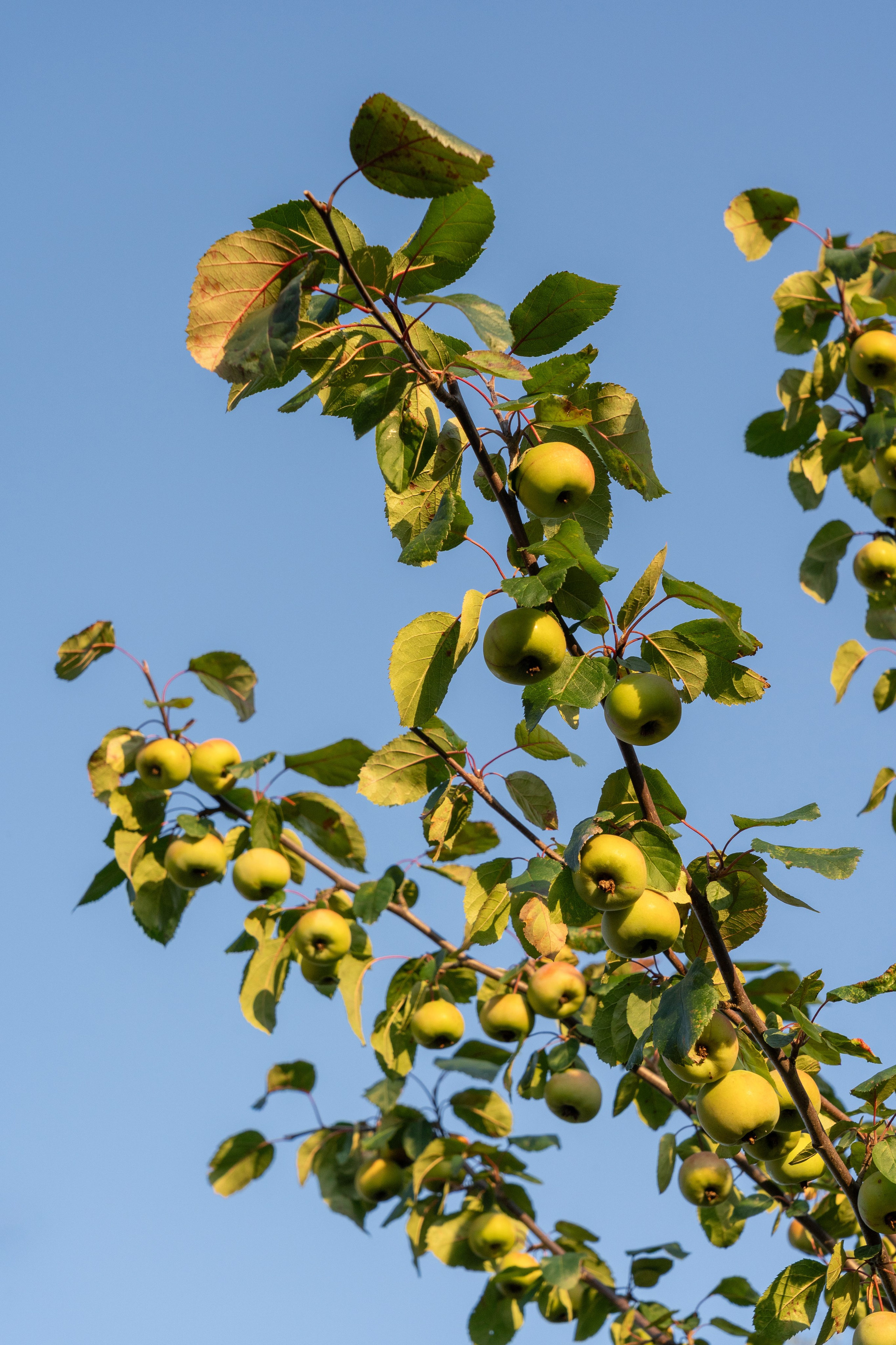 Framed landscape. Артамонов Александр | Архитектурный и ландшафтный фотограф