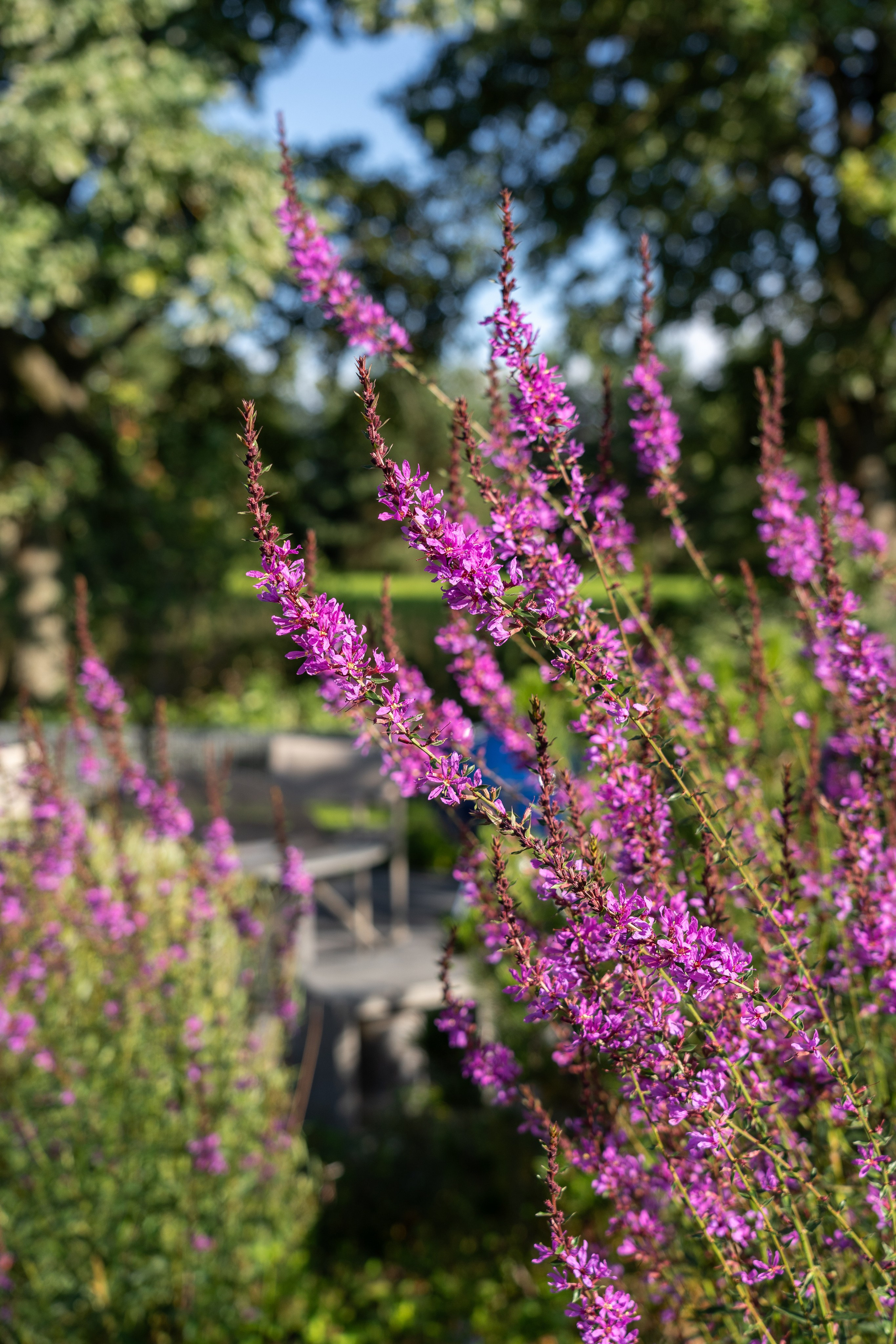 Private house, Moscow region. Артамонов Александр | Архитектурный и ландшафтный фотограф