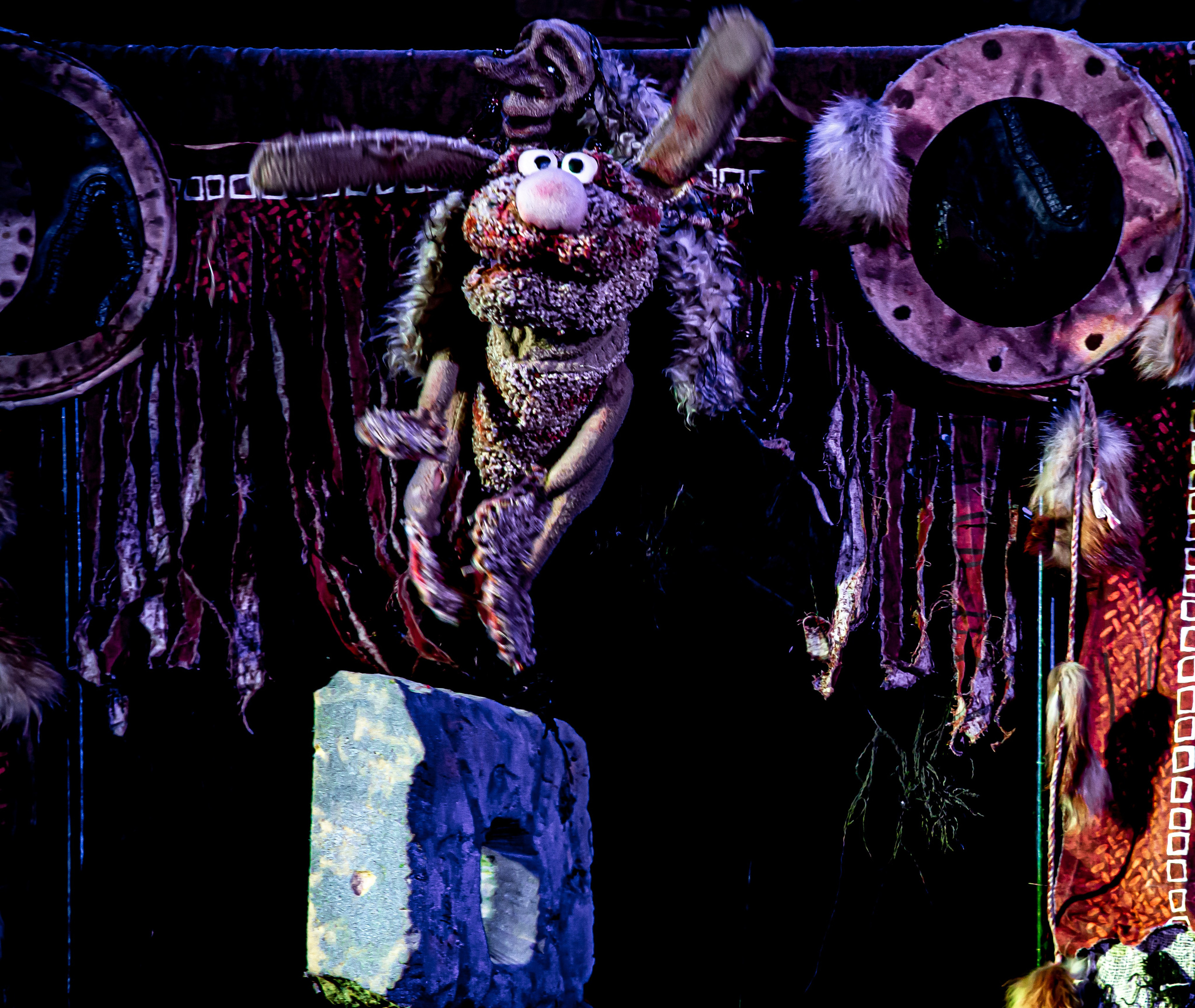 Легенды о Сочи Саквояж. Фотограф в Сочи Юрий Шептаев