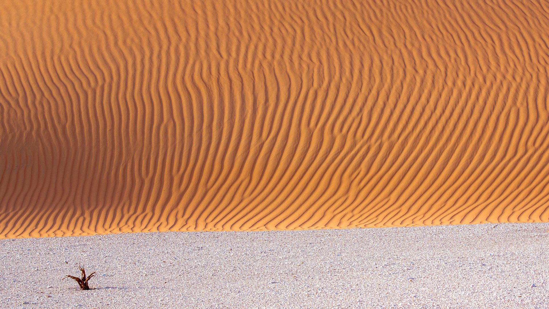 Минимализмы. Yuri Ovchinnikov Photography, St. Petersburg, landscape photography