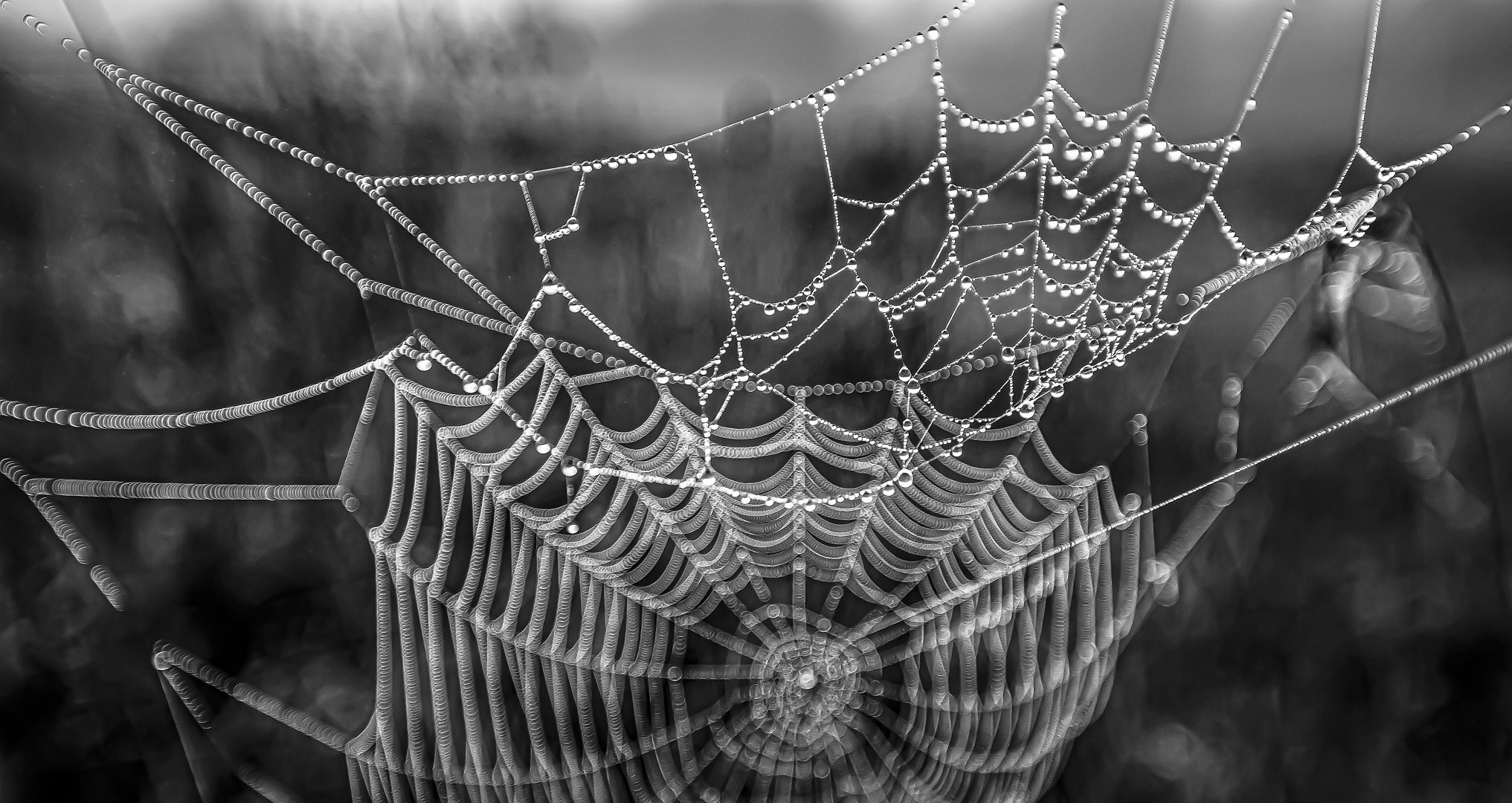 Минимализмы. Yuri Ovchinnikov Photography, St. Petersburg, landscape photography