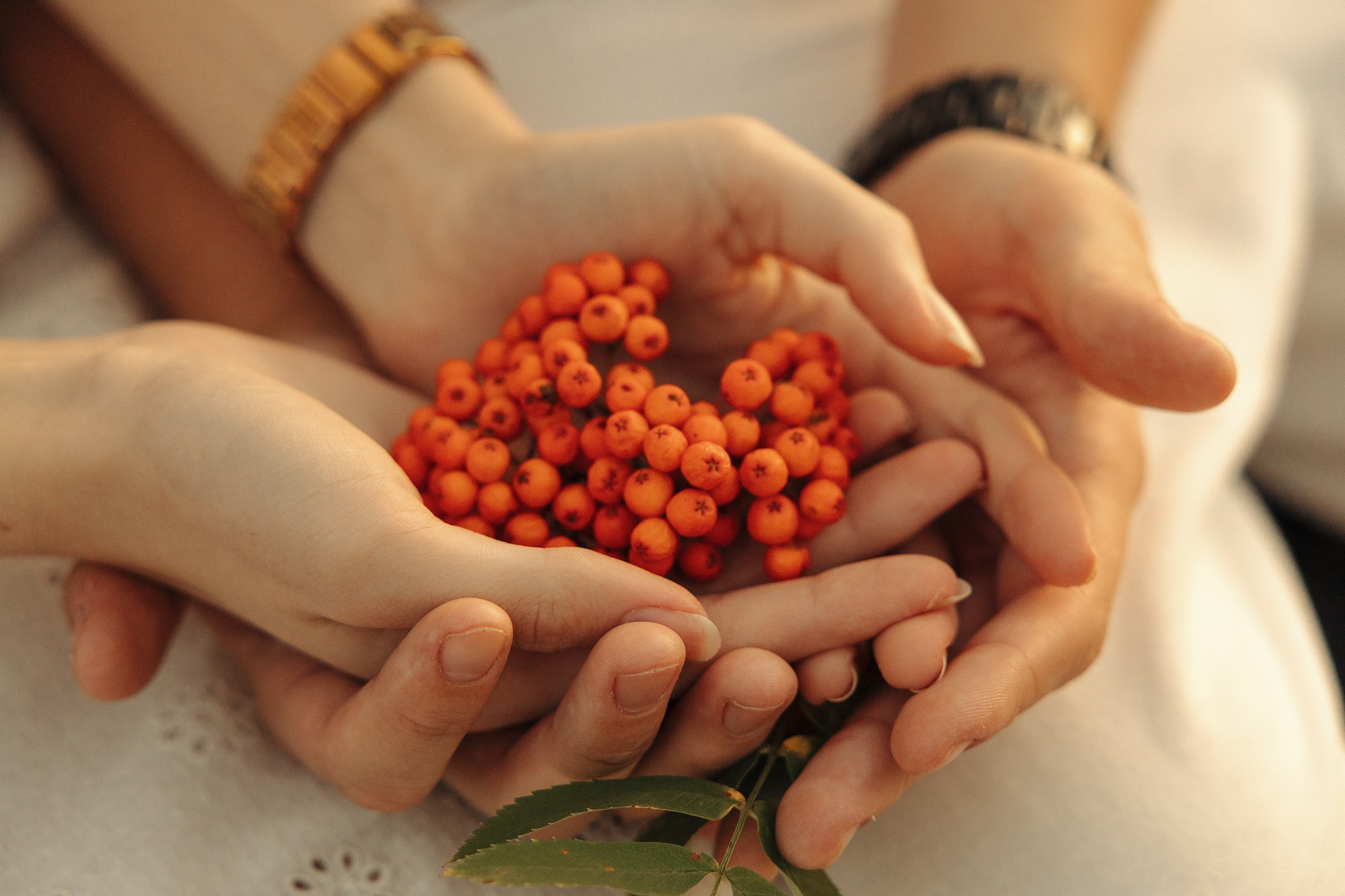 Алексей и Анжелика. Главная