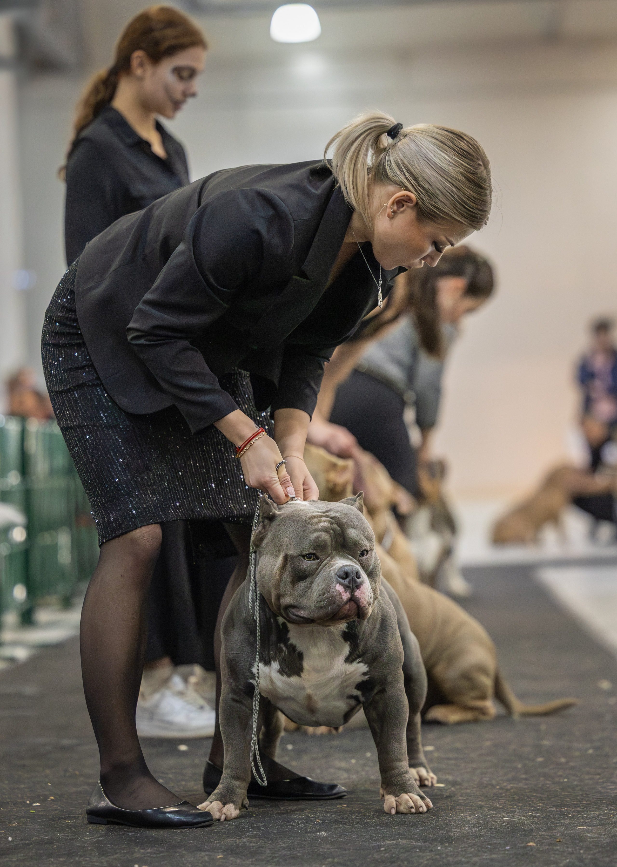 АВКС. Виктория Михайловская. Фотограф-анималист. Москва