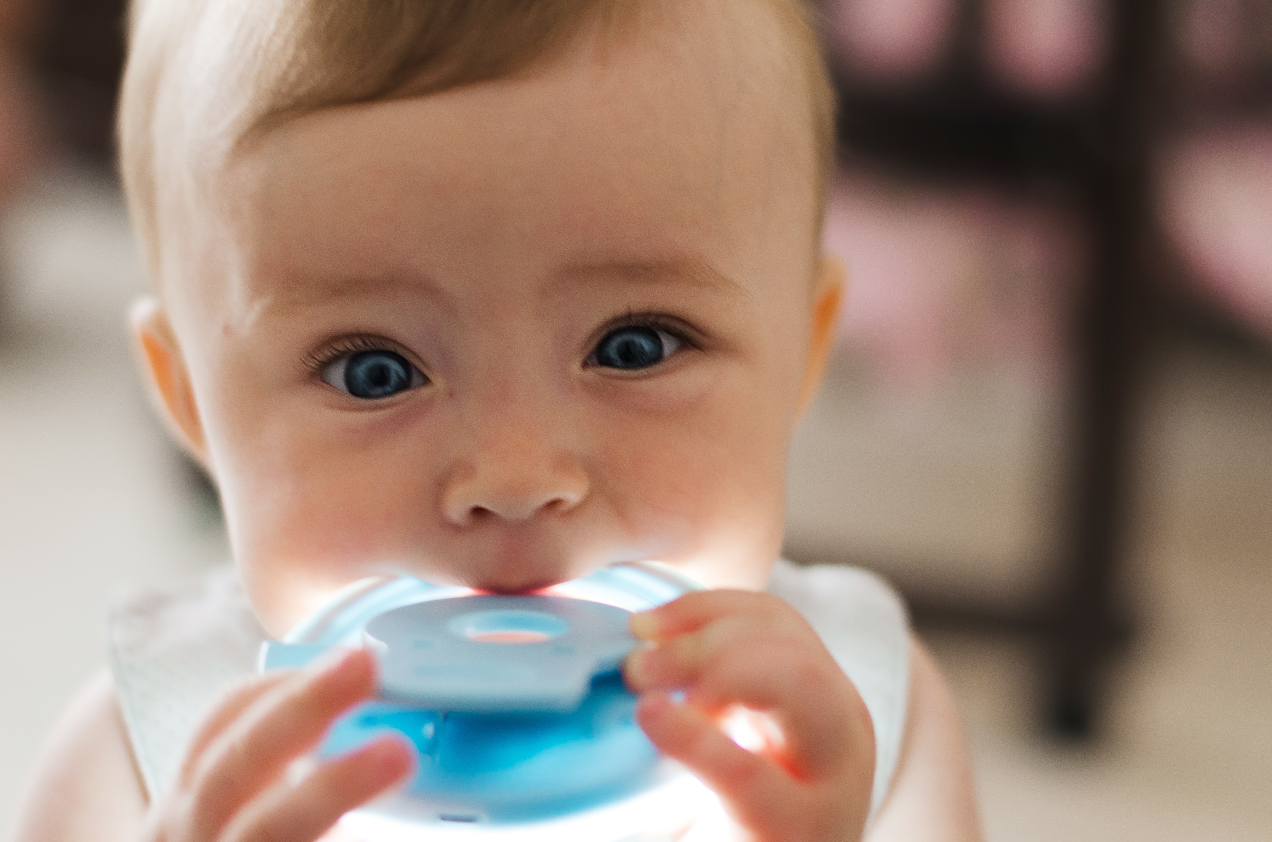 Василиса. Фотограф Ирина Курта