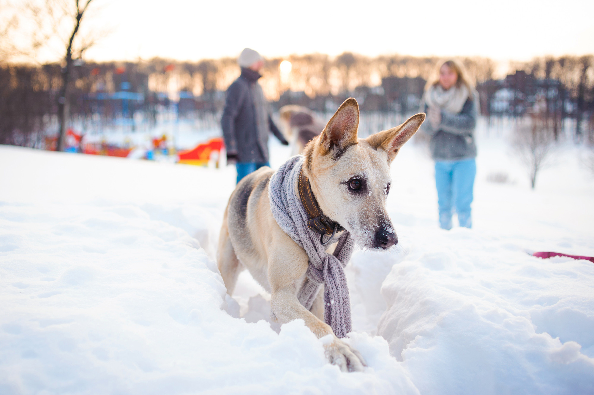 Зимняя прогулка в парке. Семейный и женский фотограф Красноярск Екатерина Пусенкова