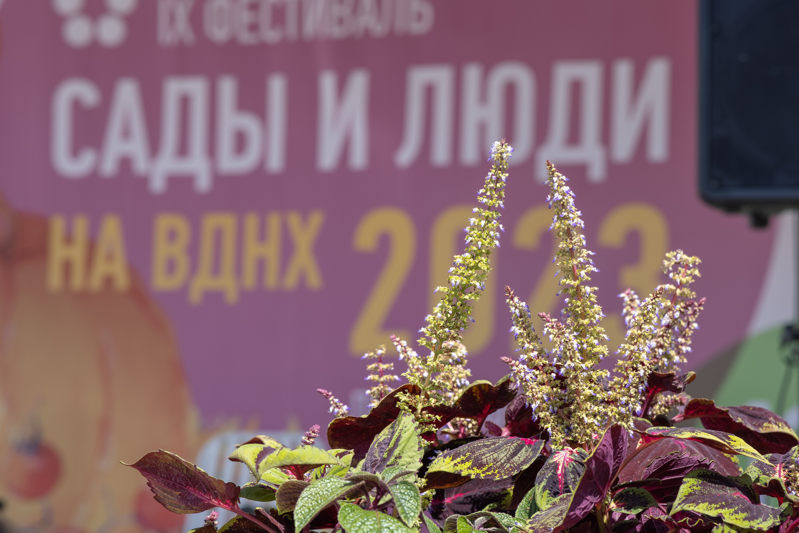Фотосъемка мероприятия Сады и Люди 2023. Фотограф — Евгений Свистков