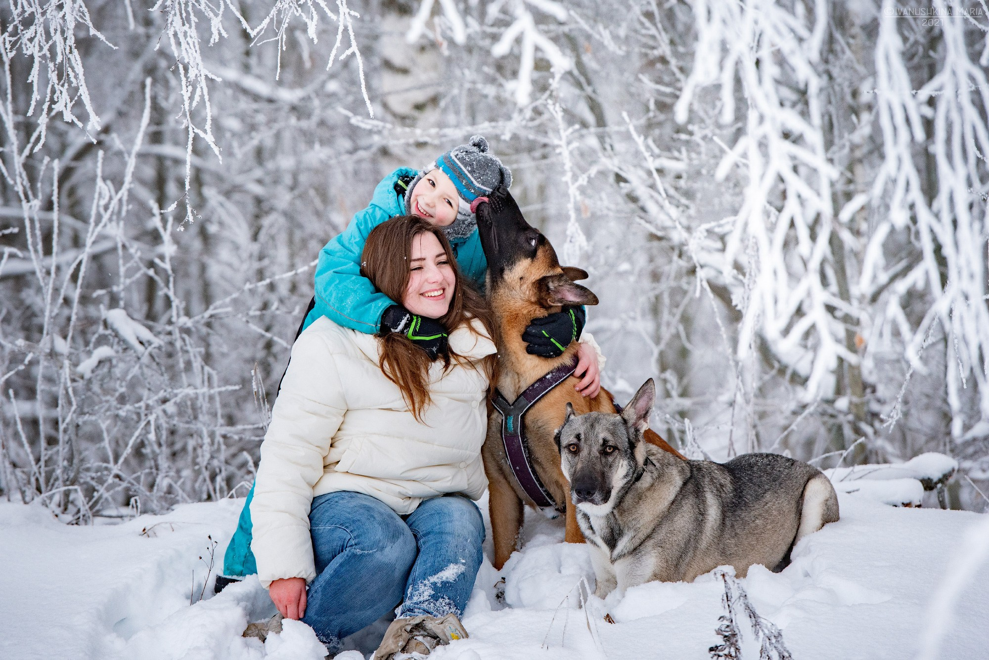 Фотосессия с собакой. Фотограф собак в Москве и Московской области Иванушкина Мария