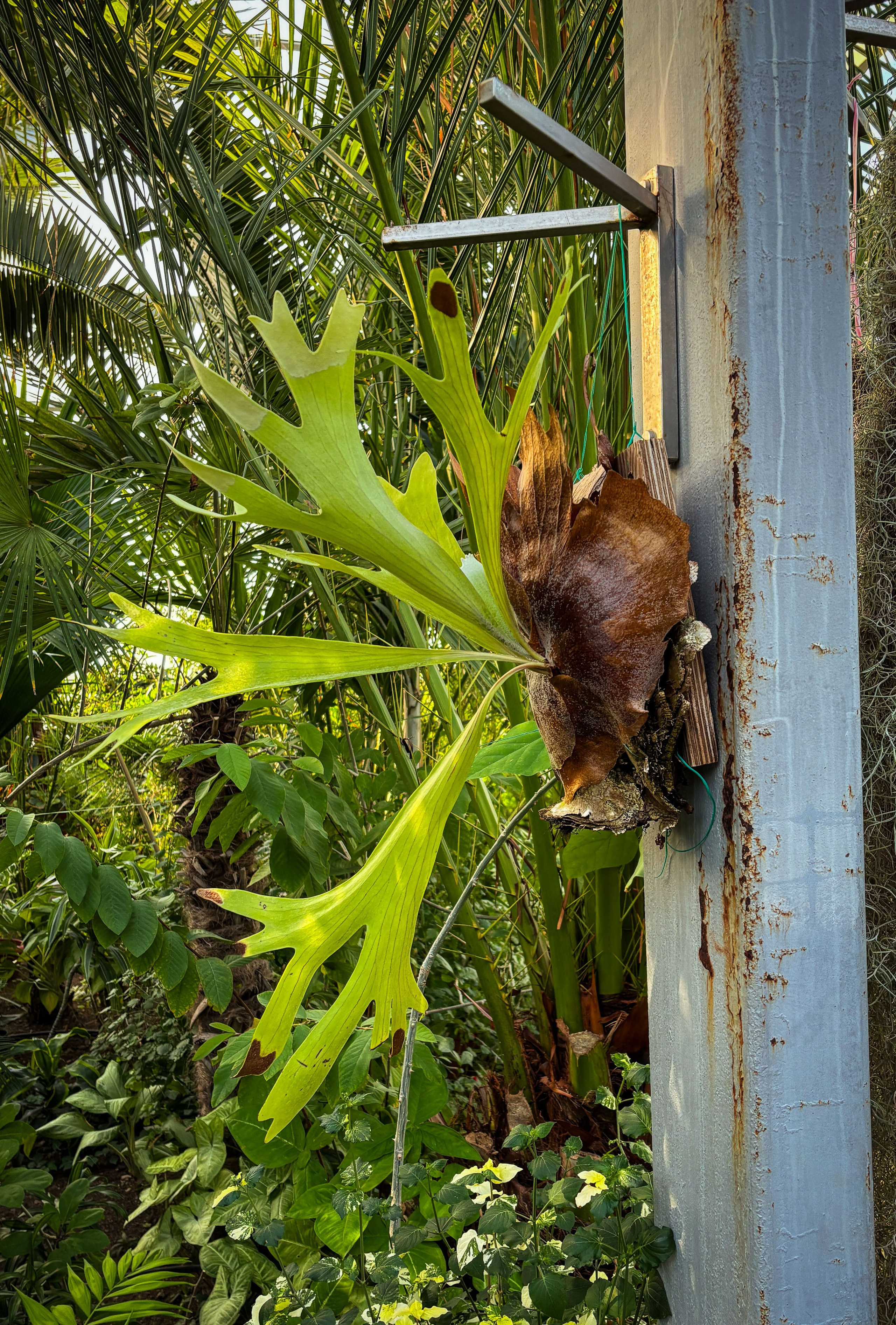 Казахстан (осень 2024). Фотограф Виноградов Константин
