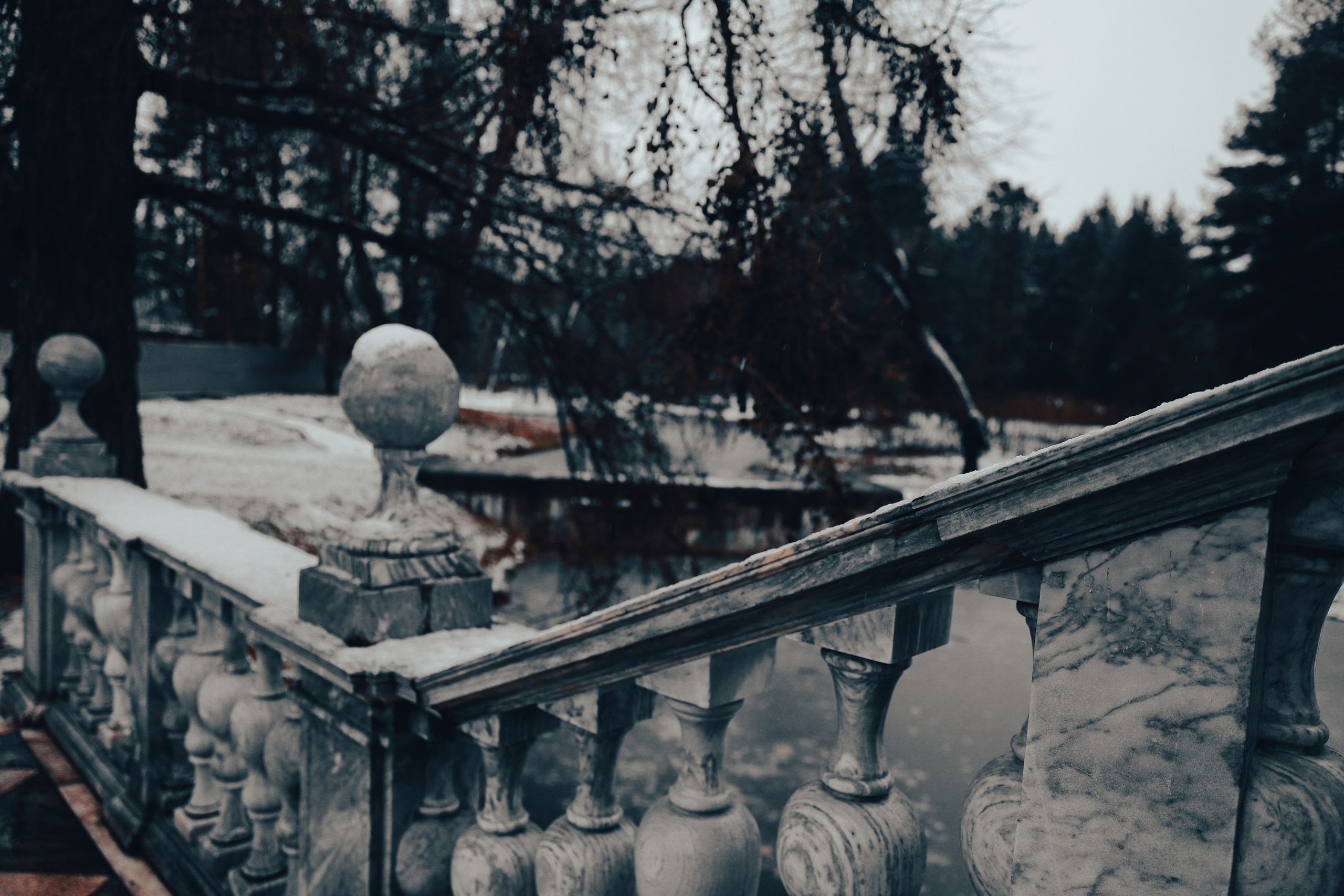 Фото с прогулок и с поездок на Кольский полуостров