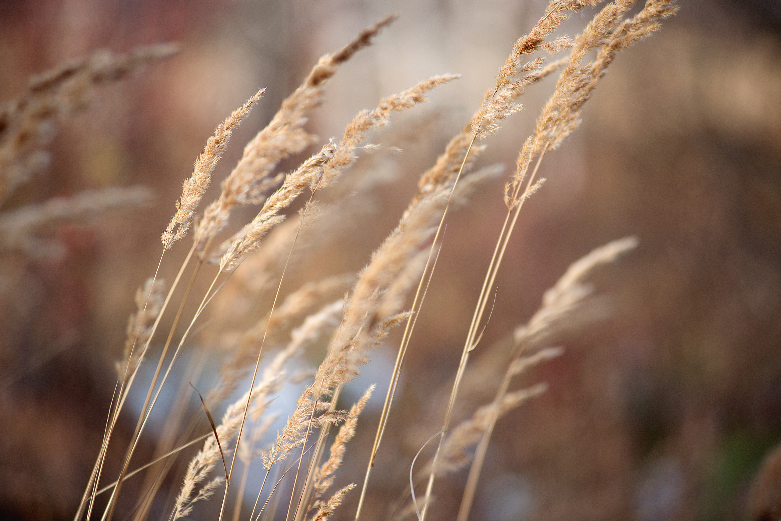 Мир вокруг. Профессиональный фотограф в Нижнем Новгороде — ФотоLEON