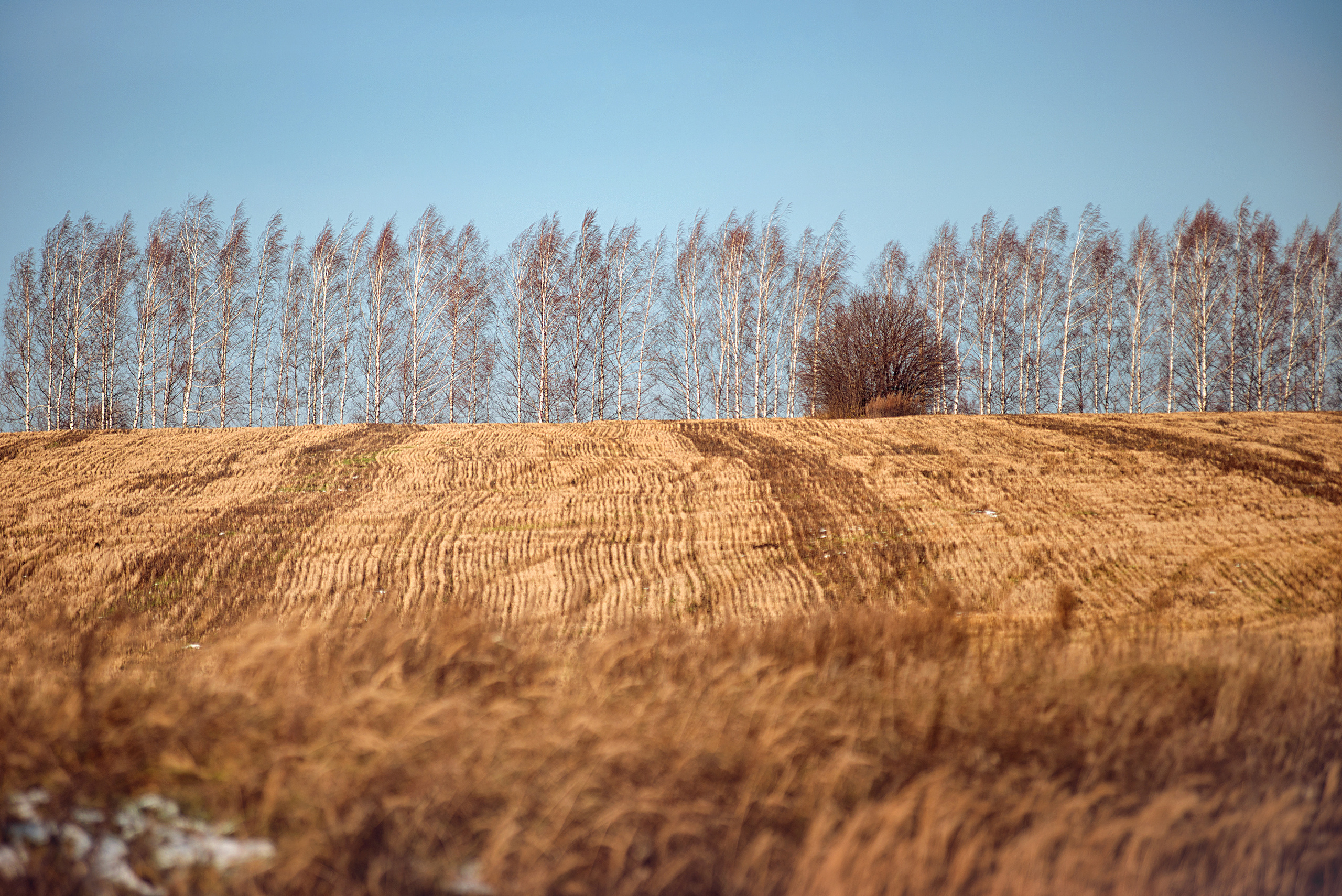 Мир вокруг. Профессиональный фотограф в Нижнем Новгороде — ФотоLEON