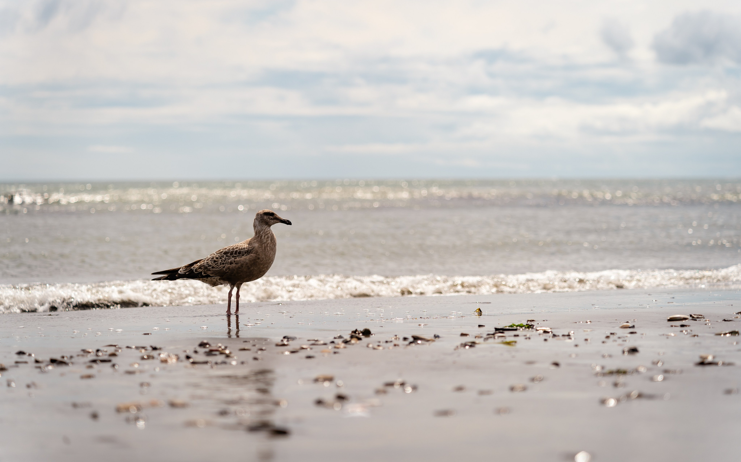 Сахалин. Семейный фотограф Варвара Сорока в городе Москве