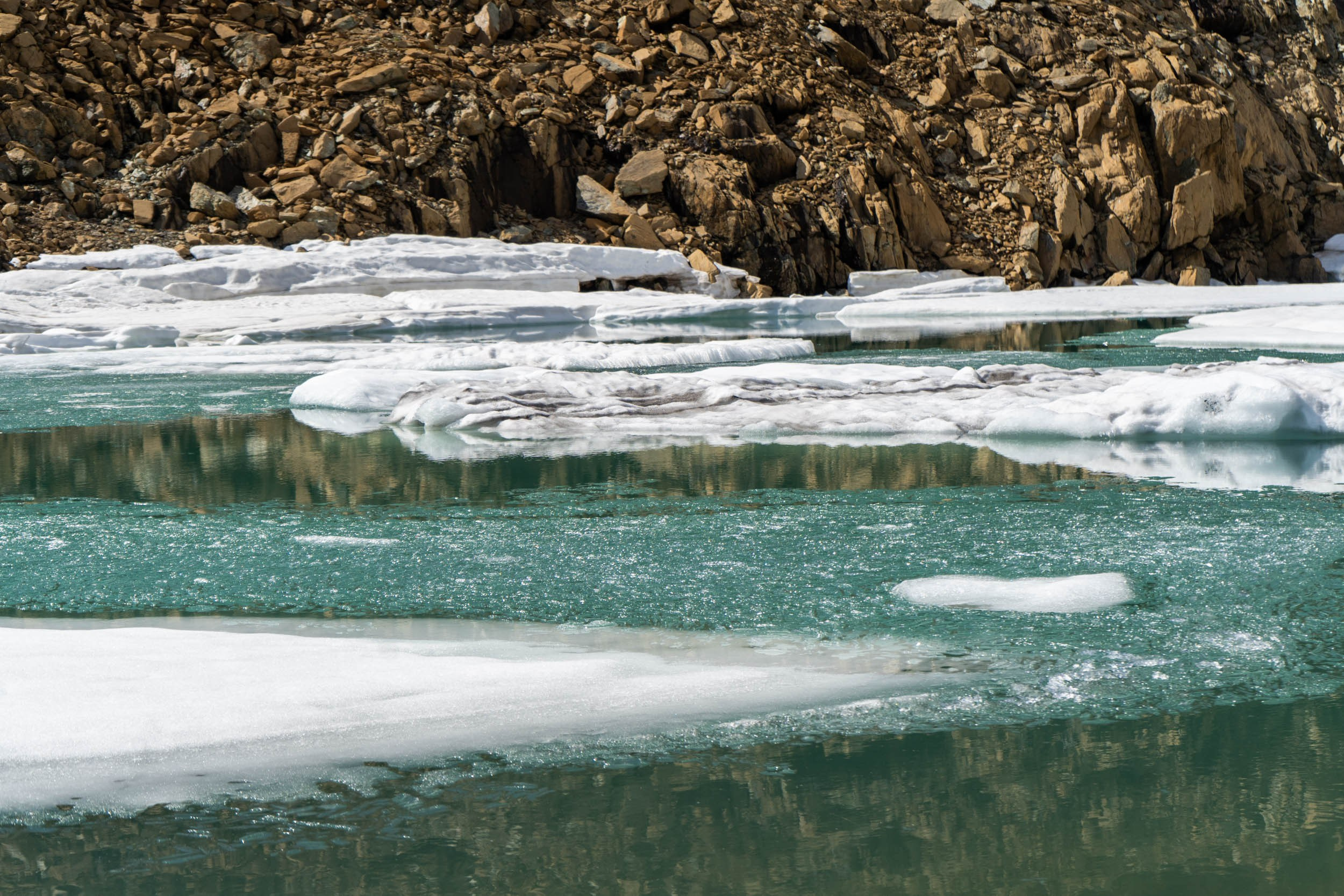 Галерея. Фотограф Екатерина Зорина
