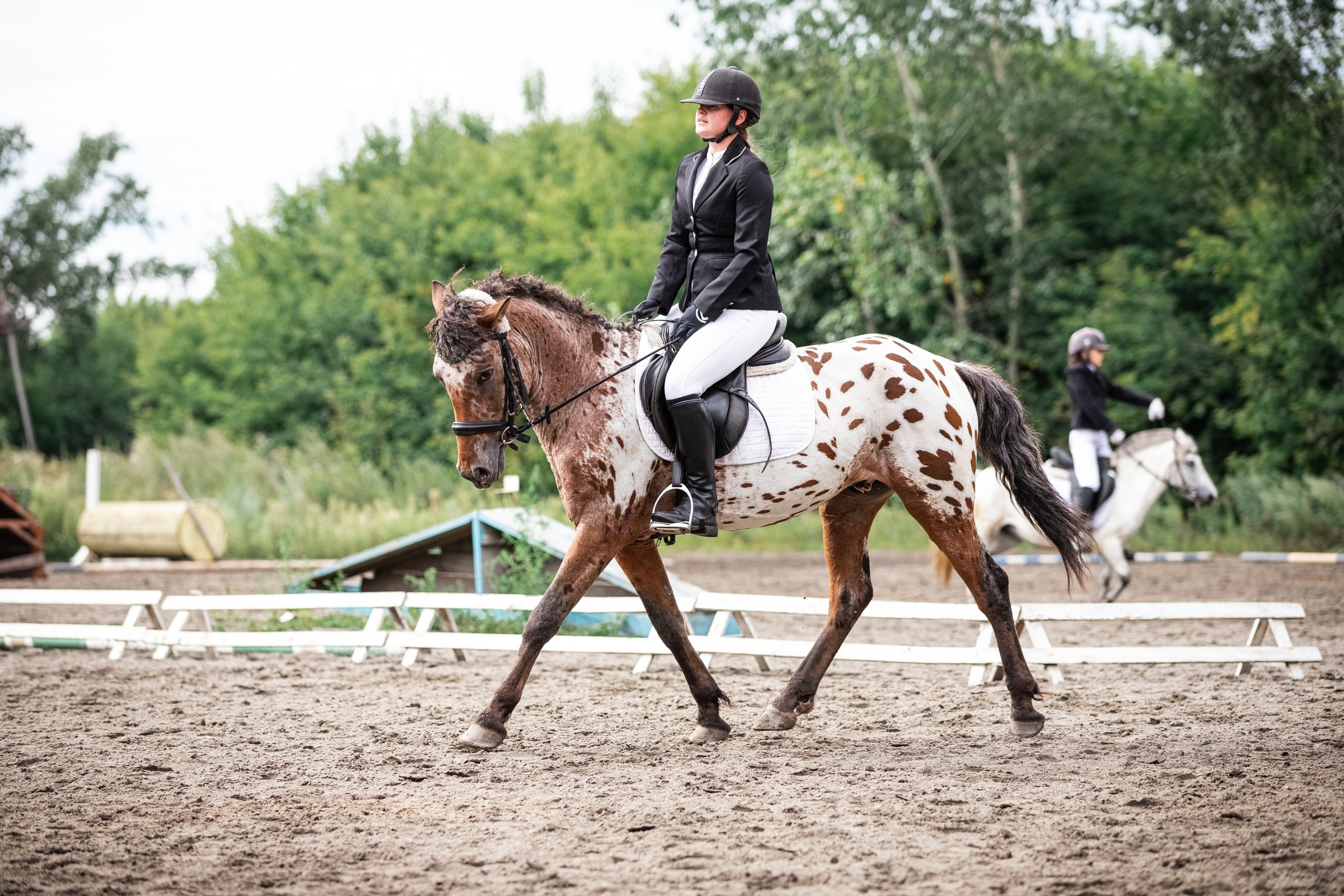 Для конников. Главная