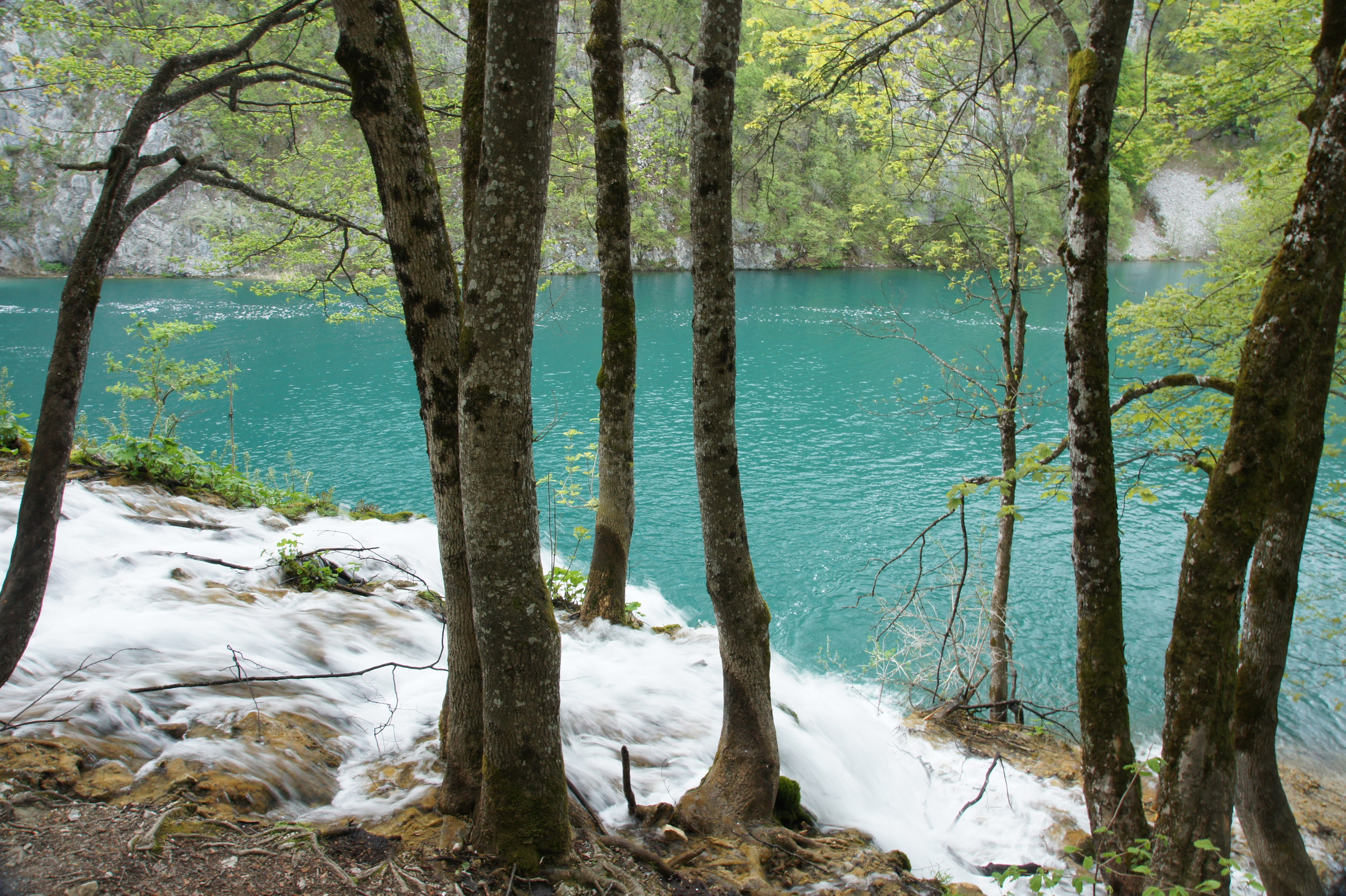 Хорватия. Главная