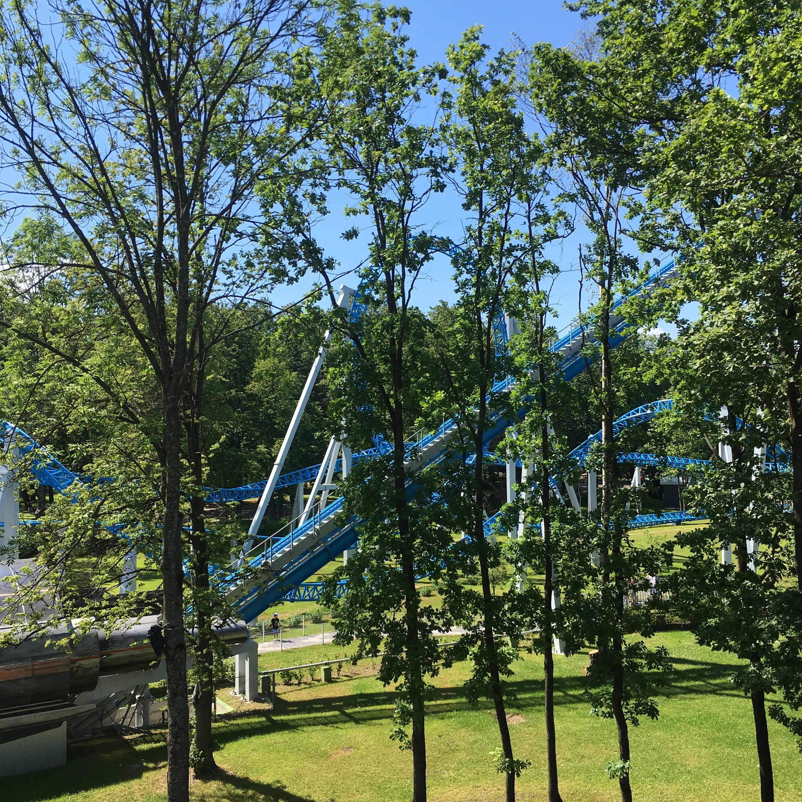 Дивоостров -19. Своя Мастерская