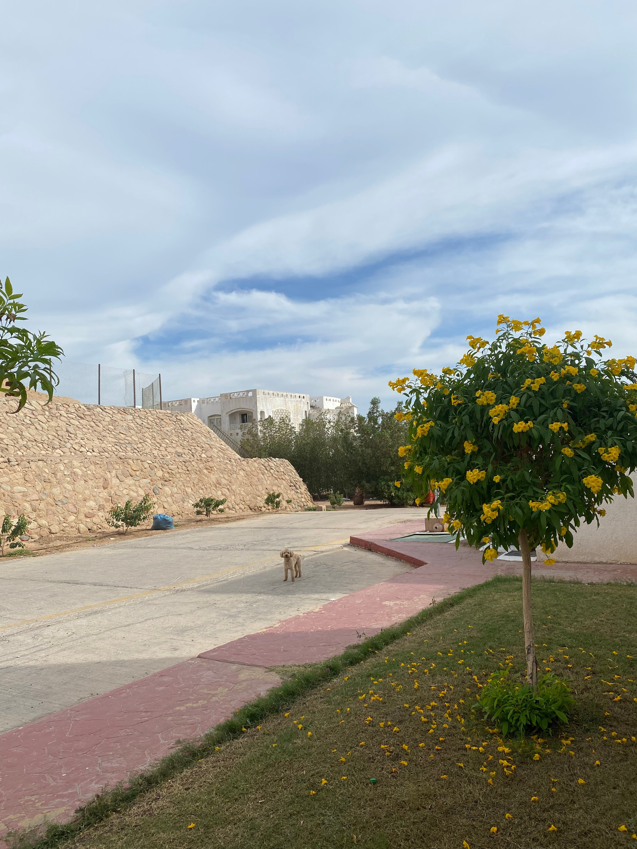 Египет — 21. Своя Мастерская