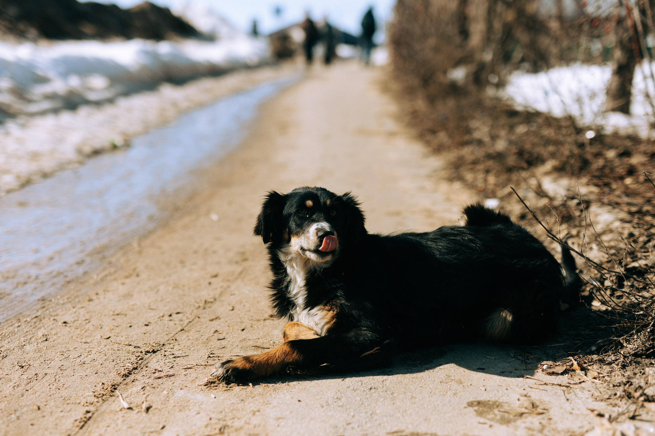 Ефремов. Свадебный и портретный фотограф — Мария Костина